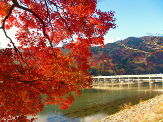 首页 出境旅游 亚洲 日本【岚山渡月桥】这里的红叶负有盛名,许多老