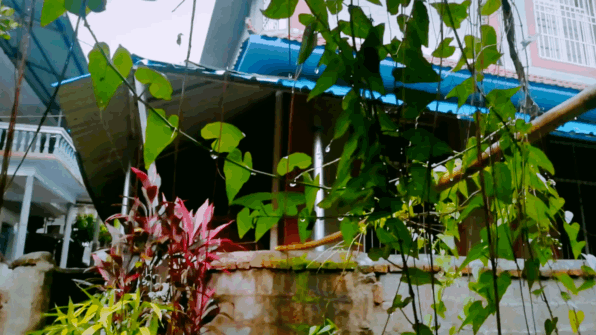 云南西双版纳游玩攻略—穿越人山人海,只为遇见最美的