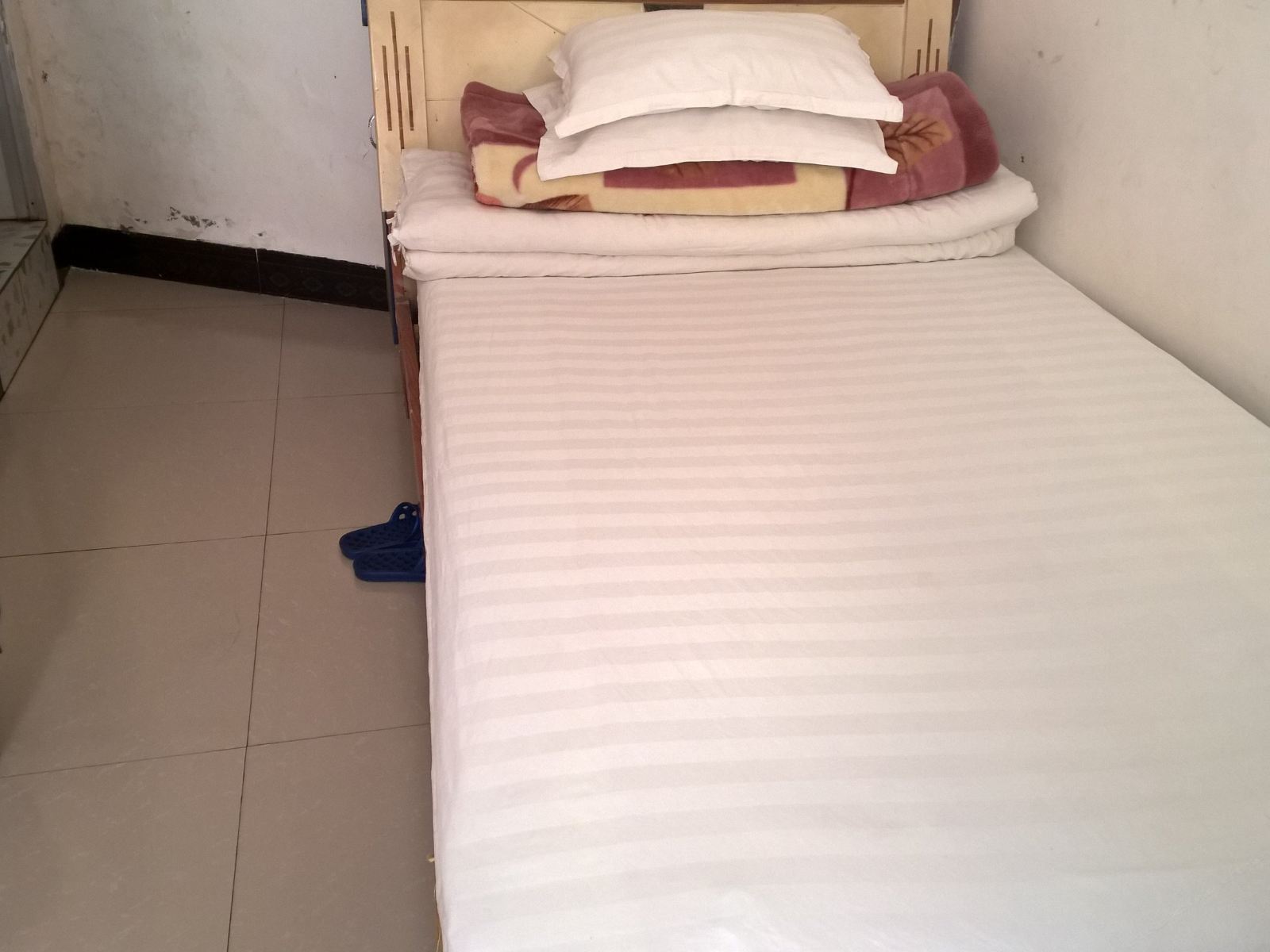 标准单人间