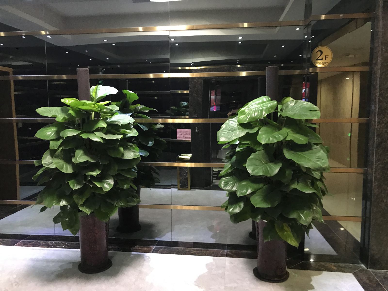 公共区域