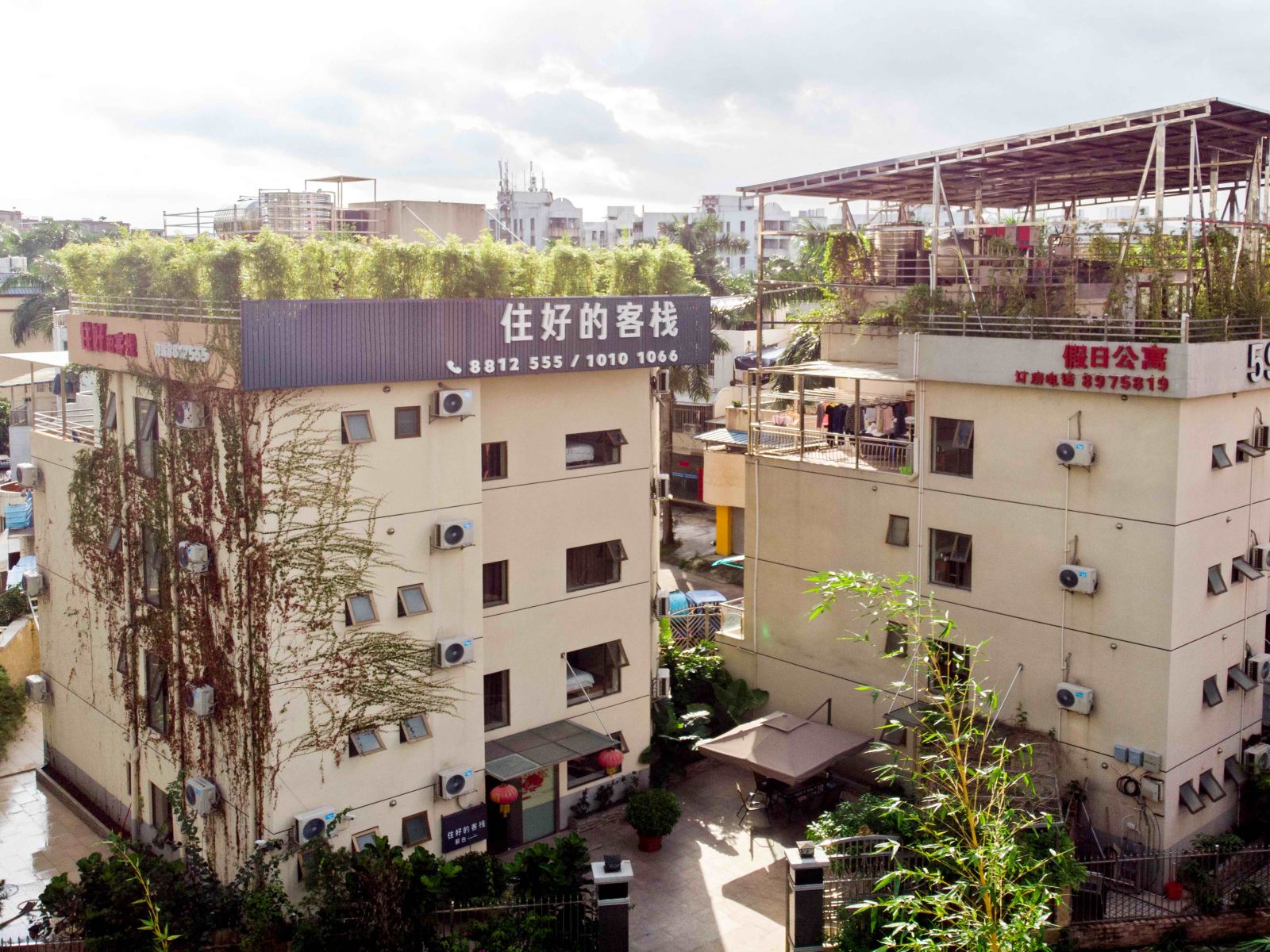 外观