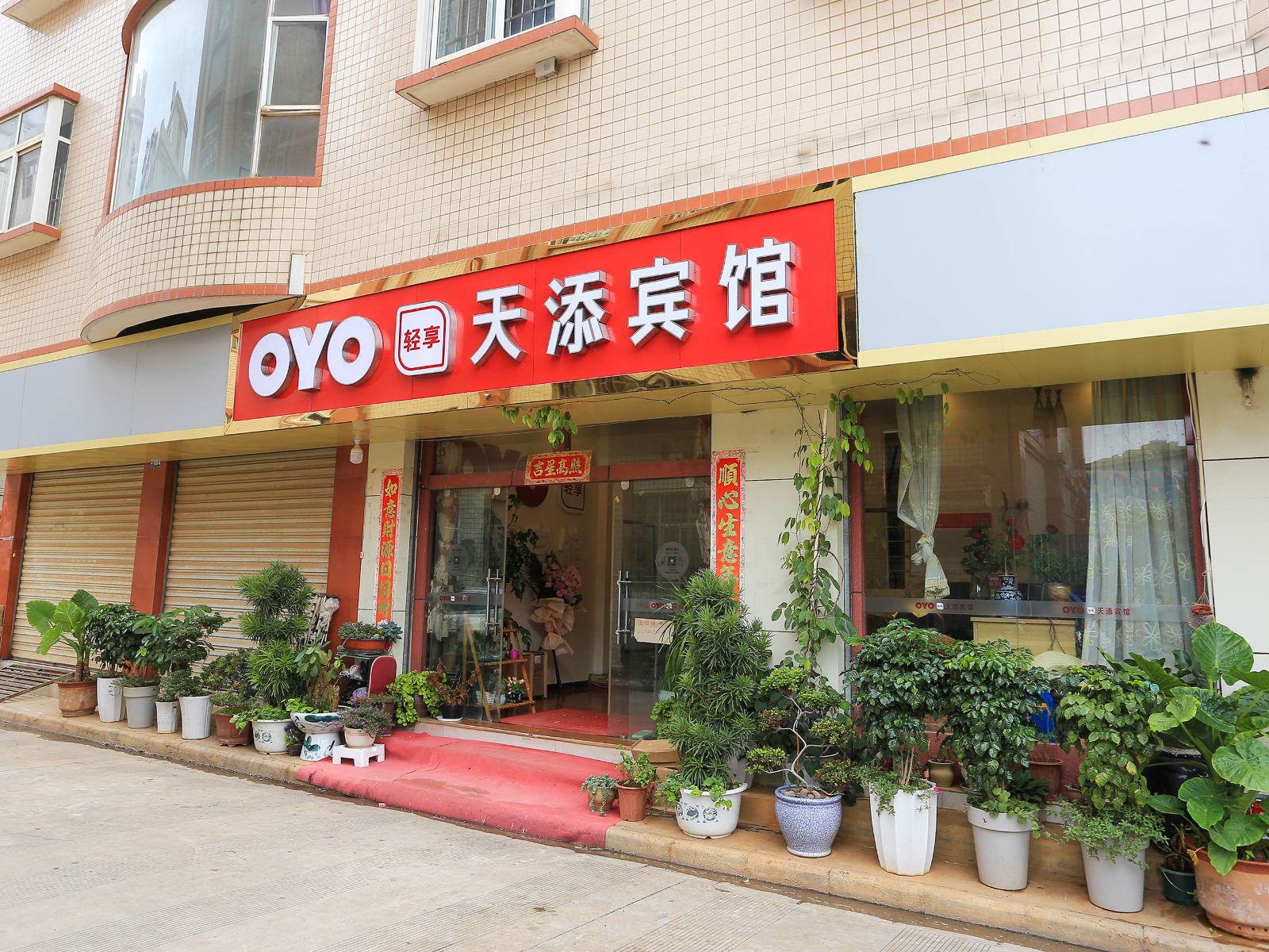 外观