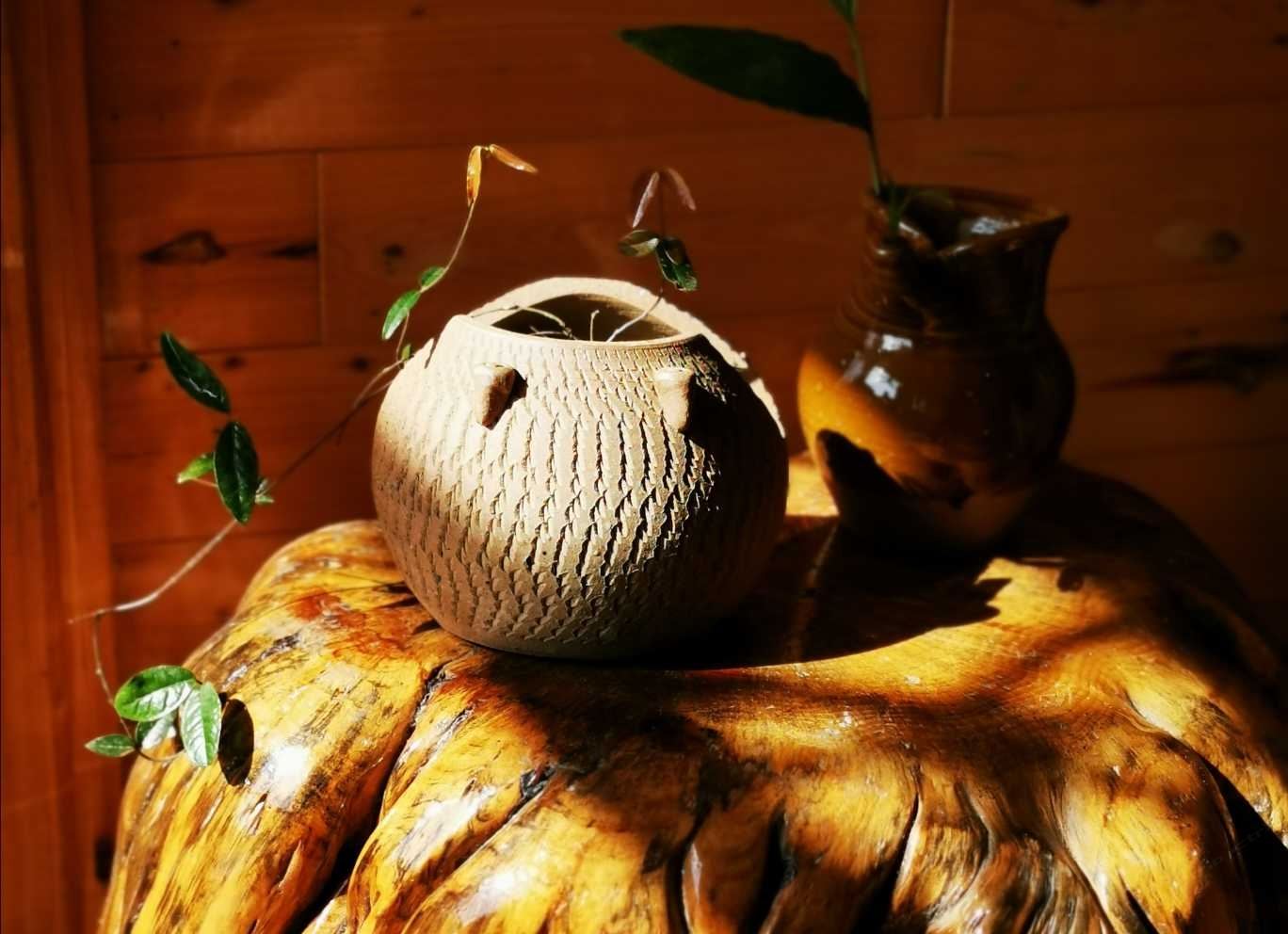 轻奢楠木·全景茶居
