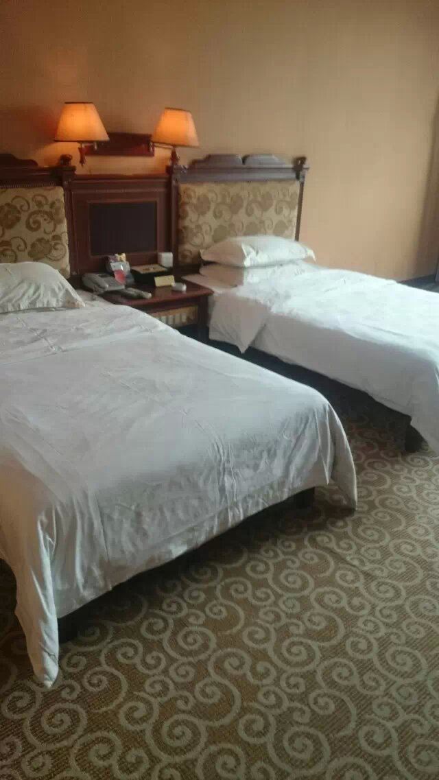 豪华双床房