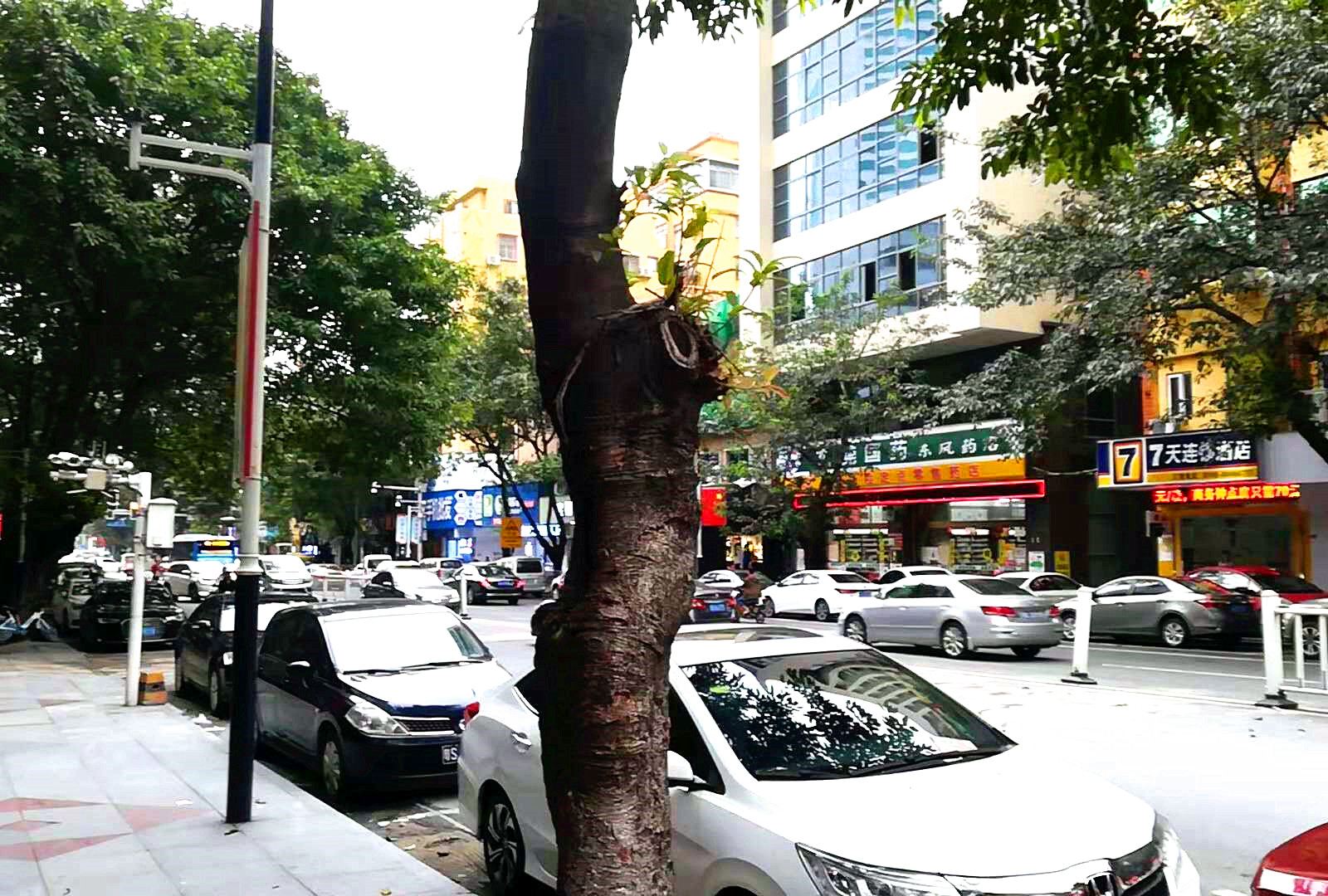 途窝假日酒店(东莞厚街店)