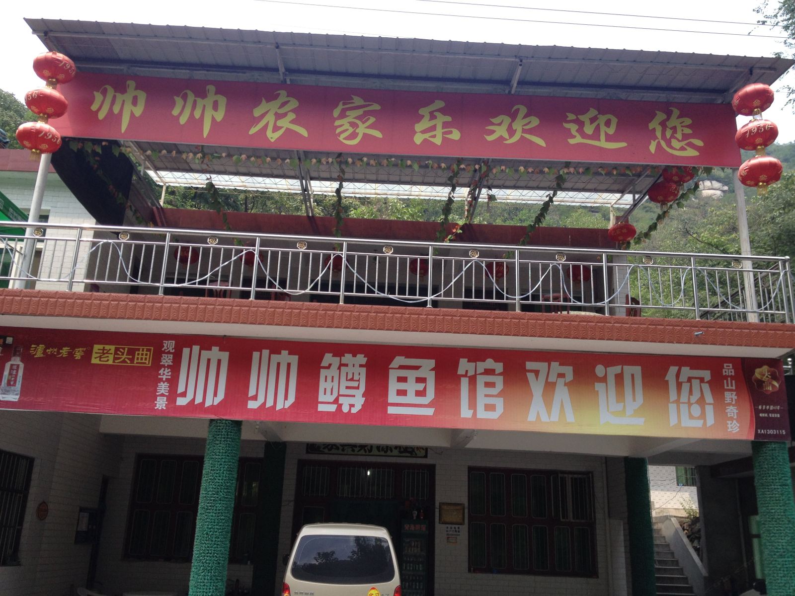 外观