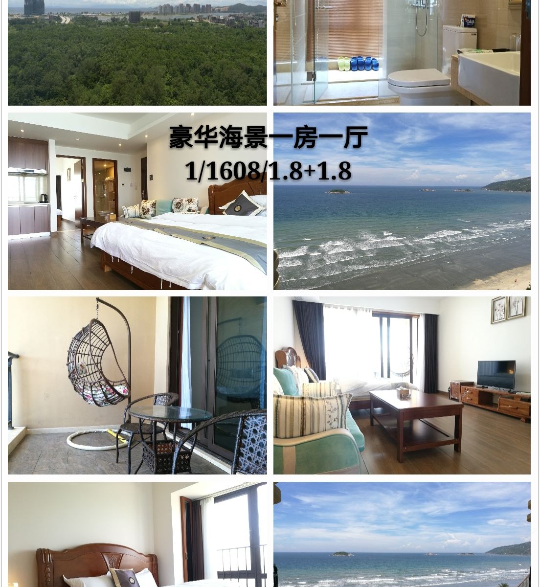 豪华海景一房一厅