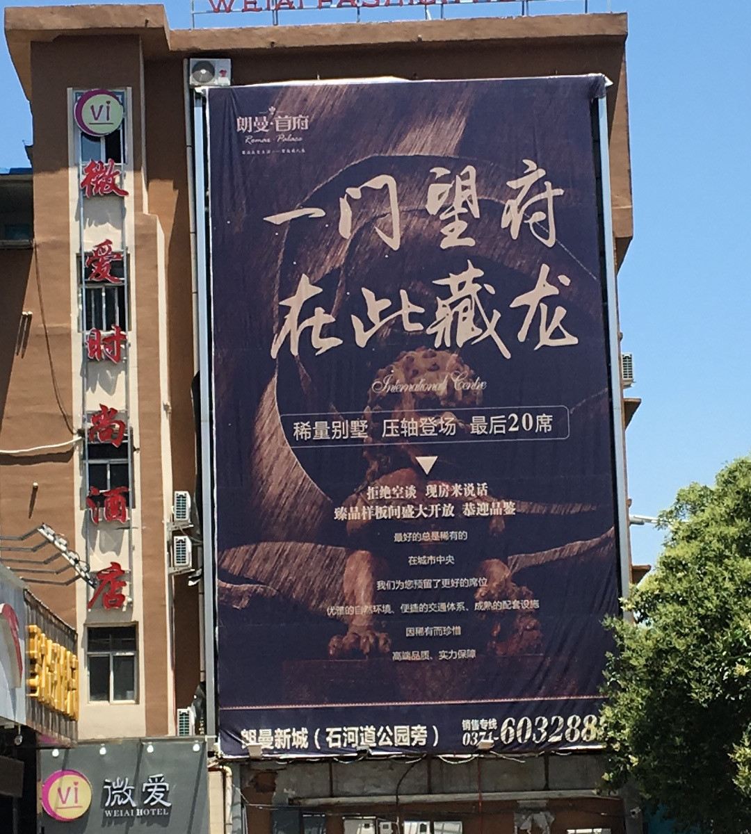 外观