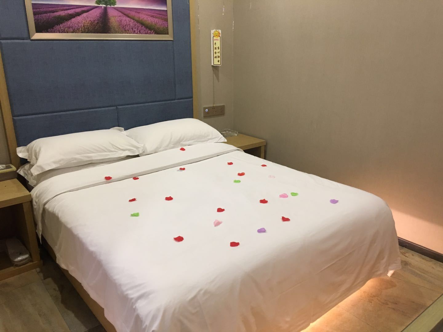 特惠房(无窗)
