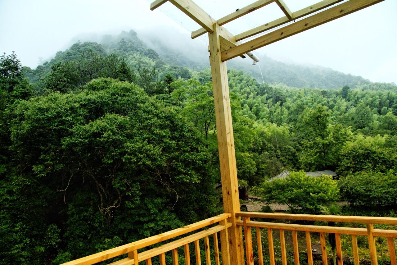 观景露台房