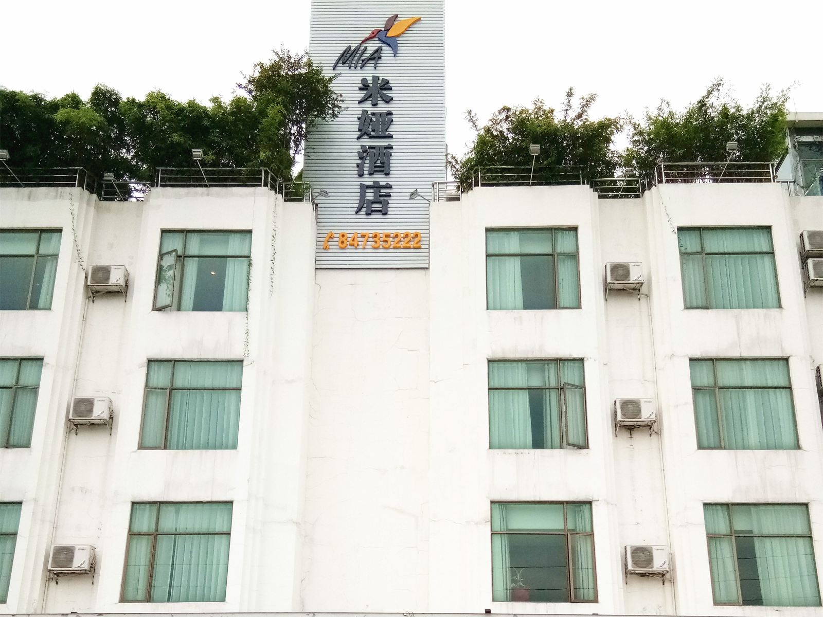 外观