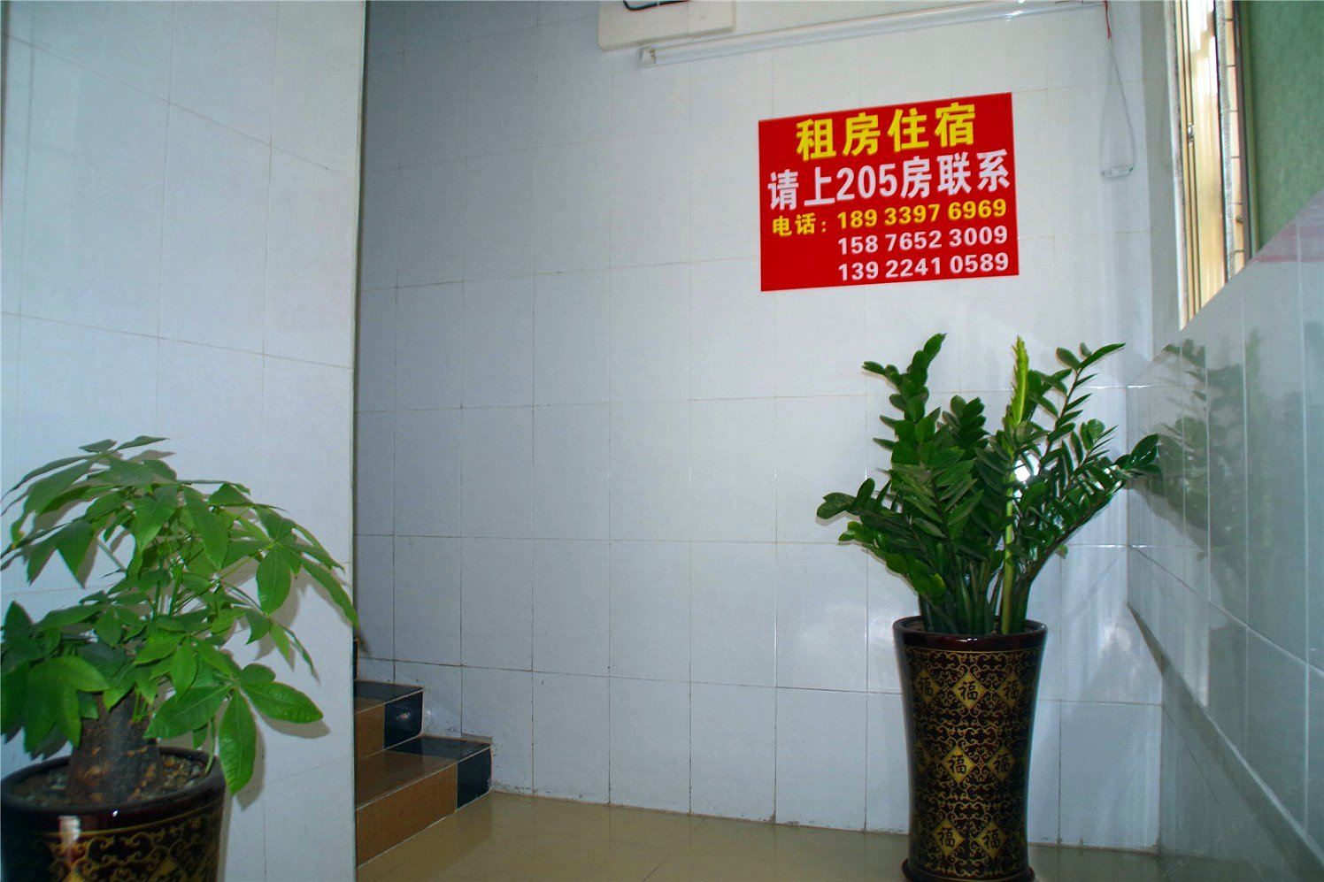 公共区域