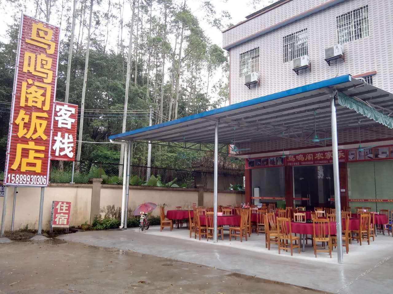 其他