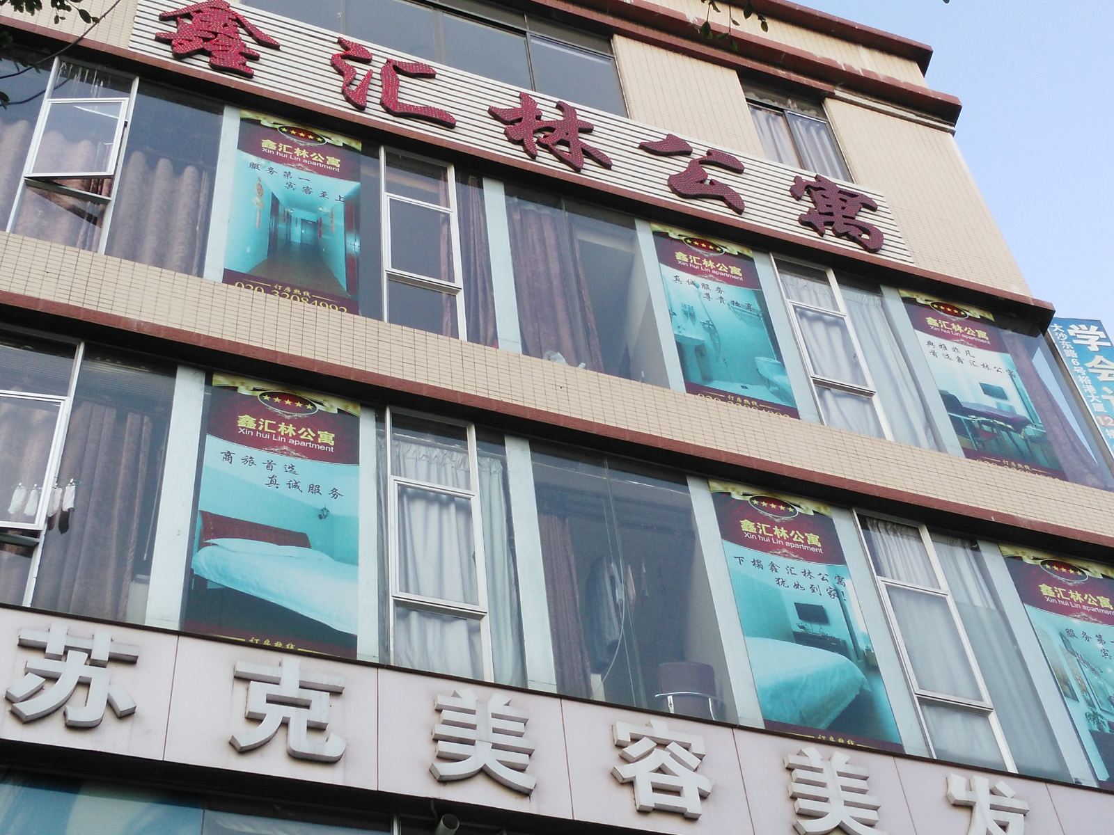 外观