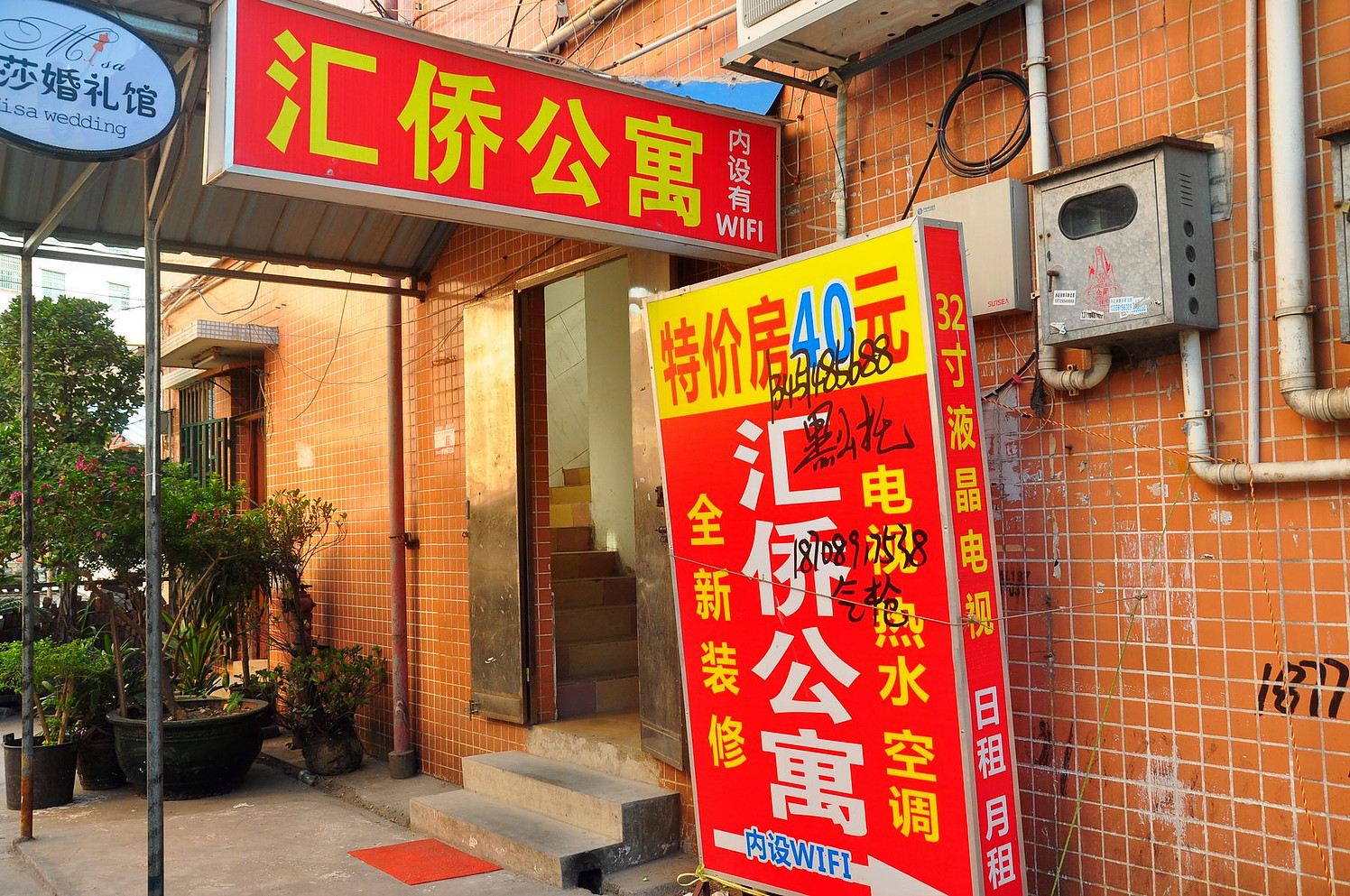 外观