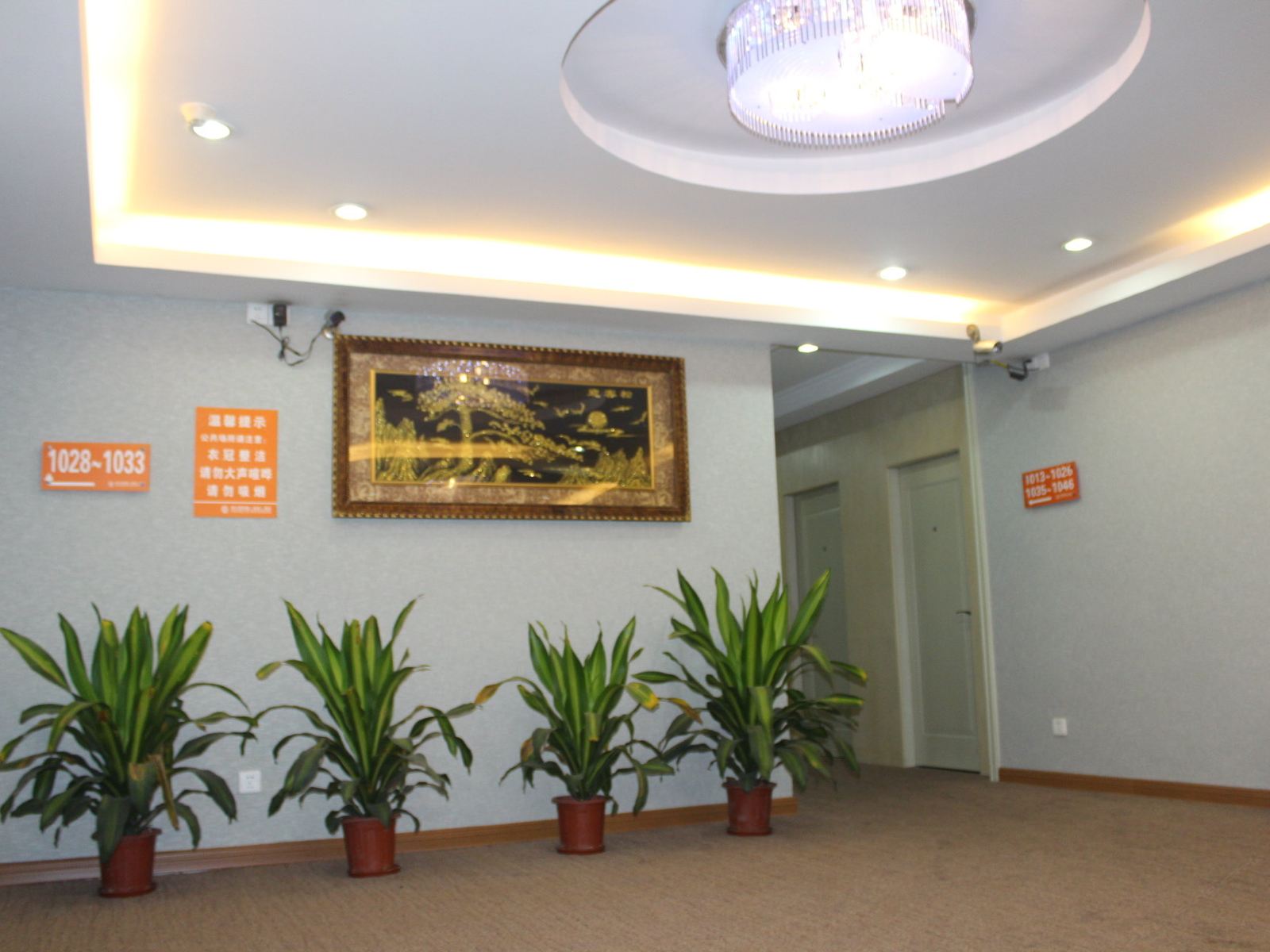 公共区域