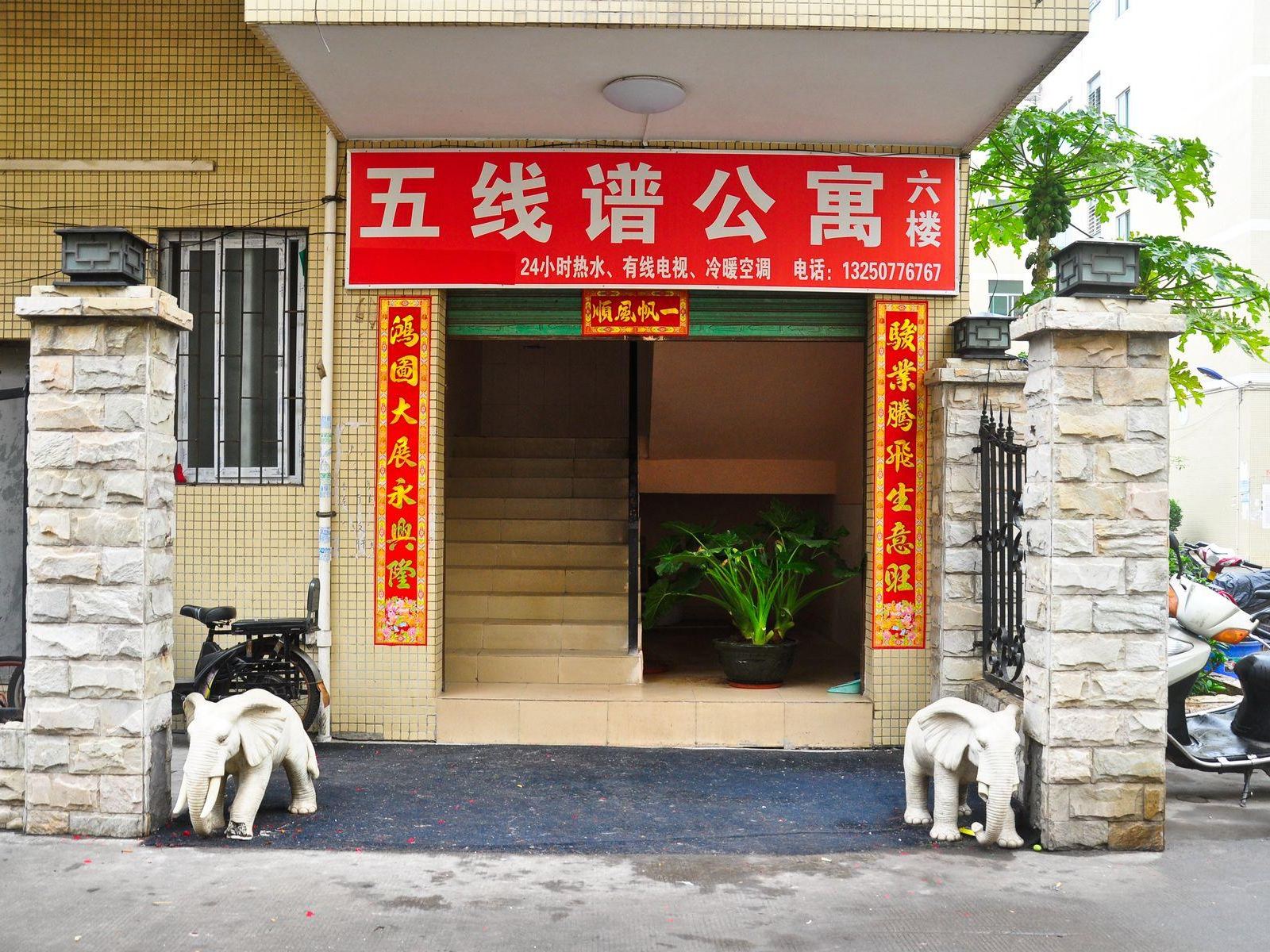 外观