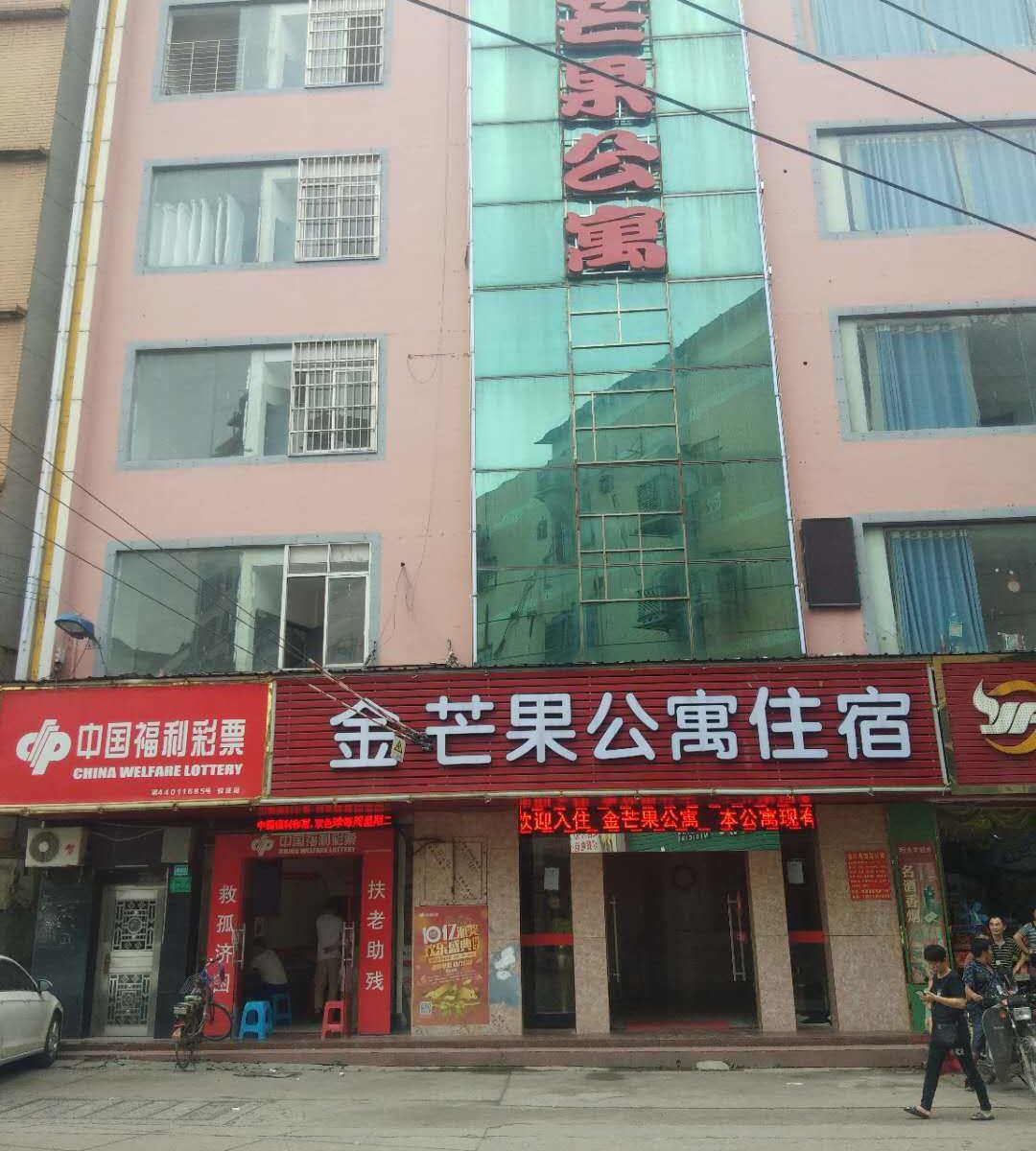 外观