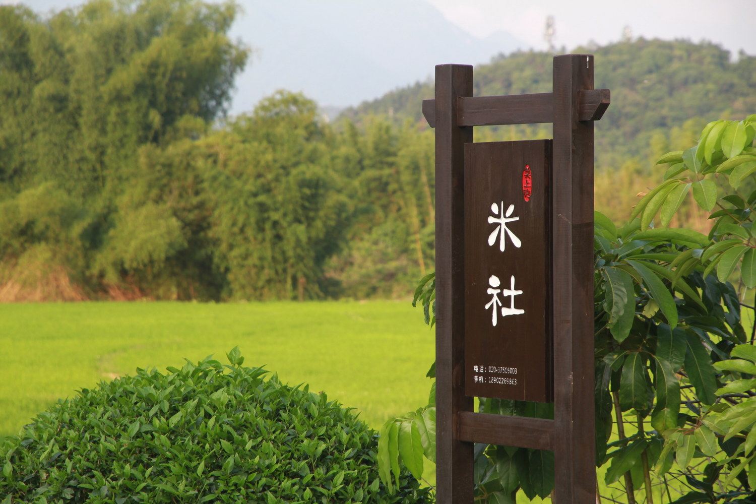 其他