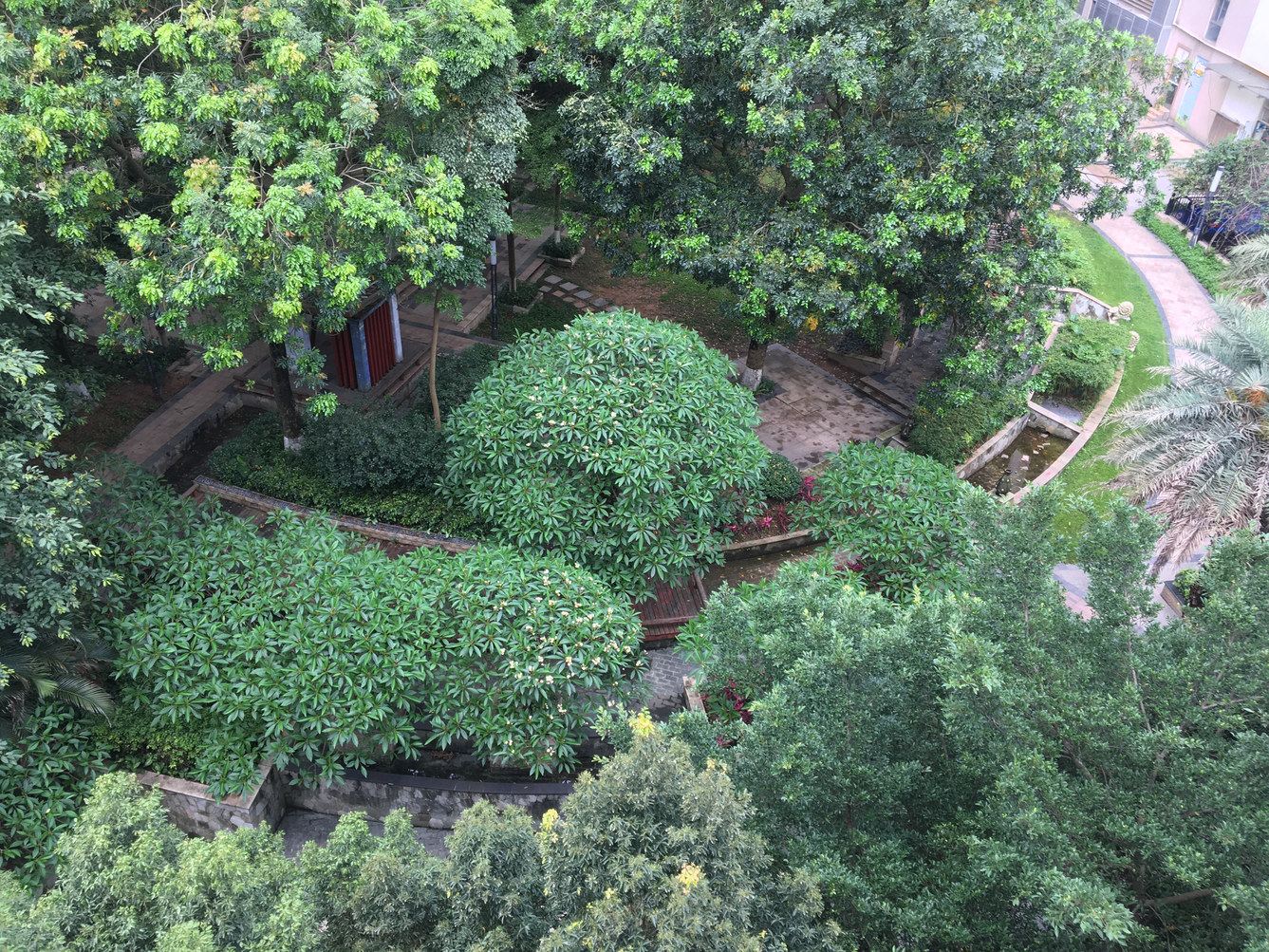 华南植物园公寓NO.2