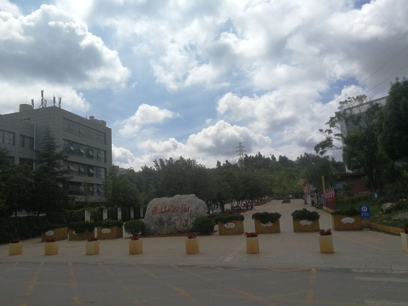 其他