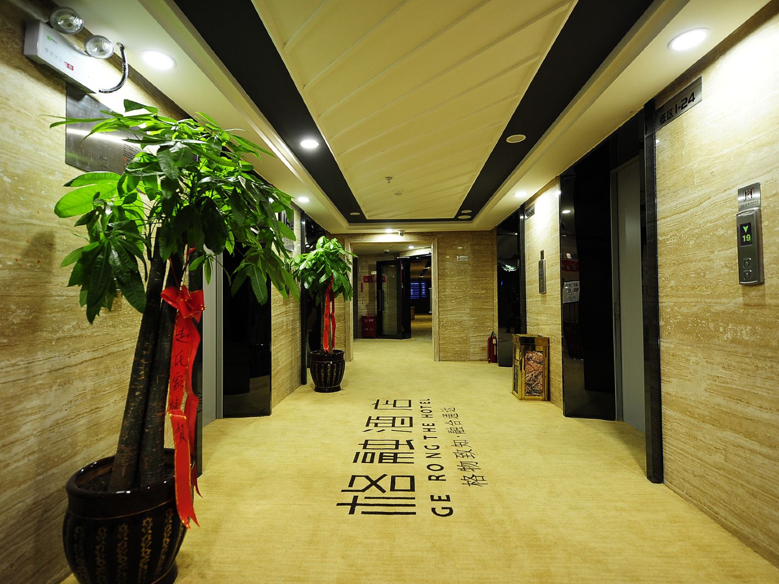 公共区域
