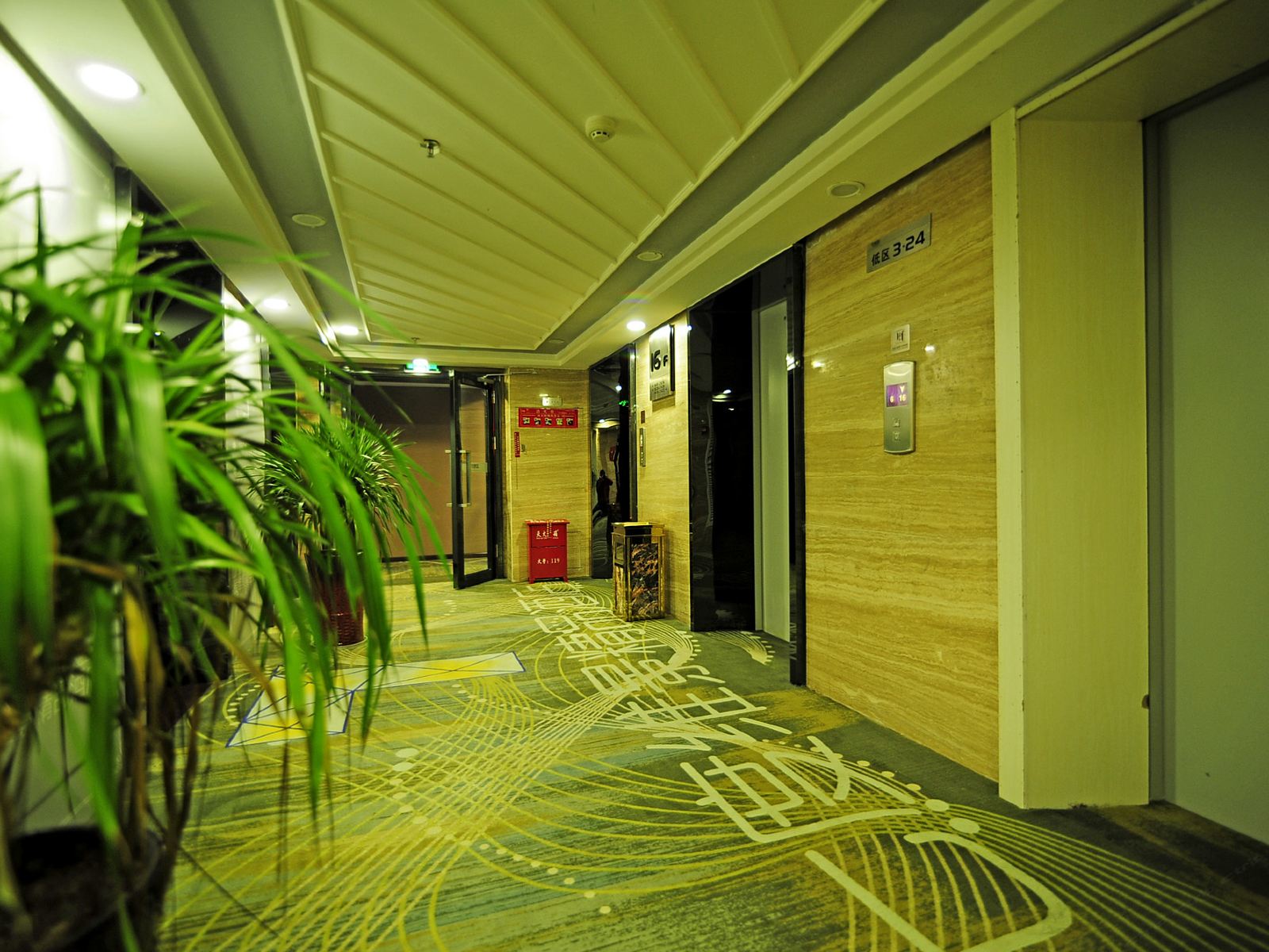公共区域