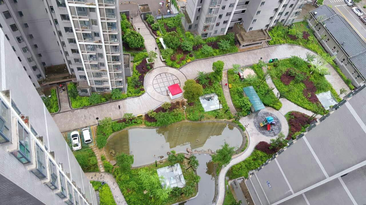 公共区域