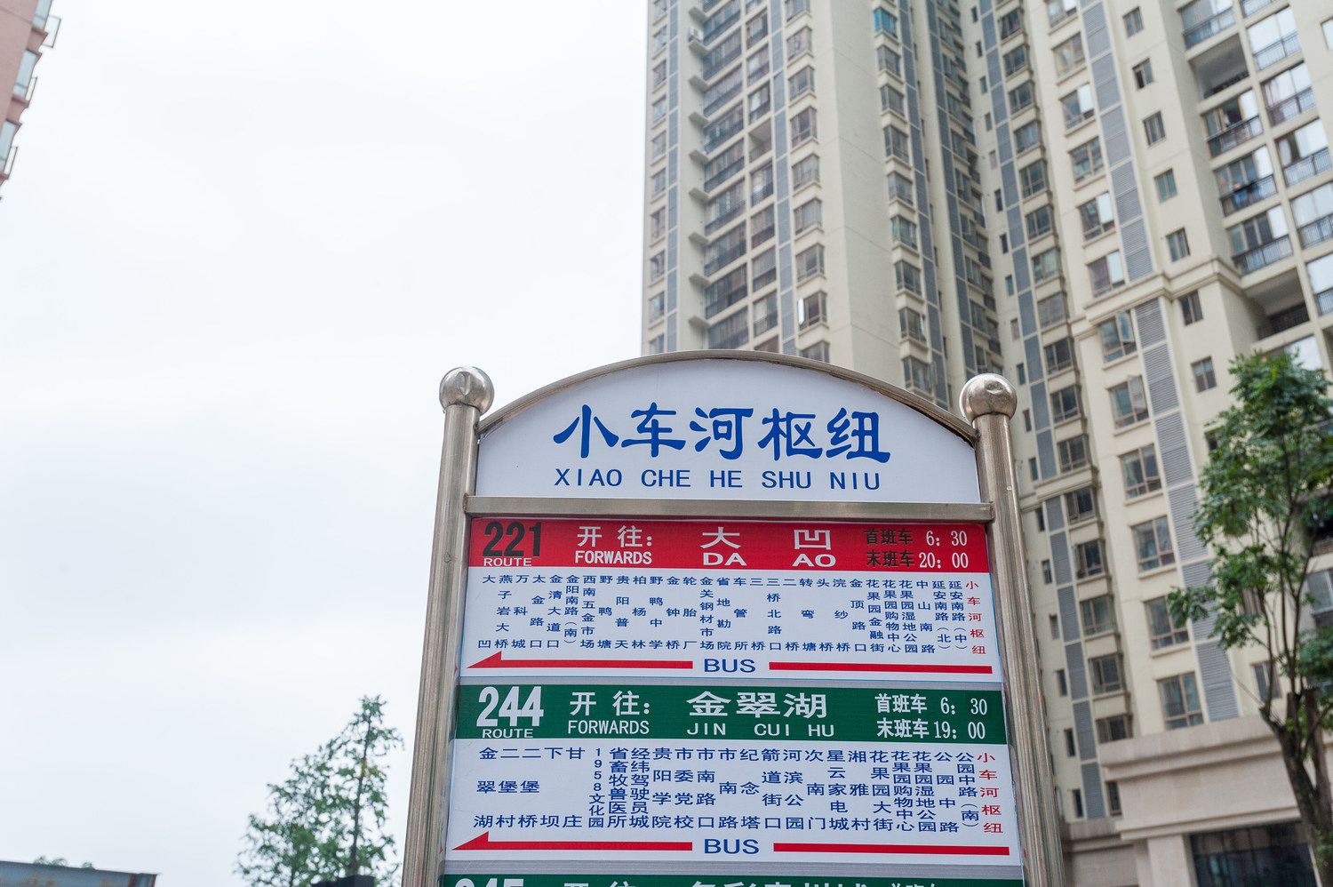 外观