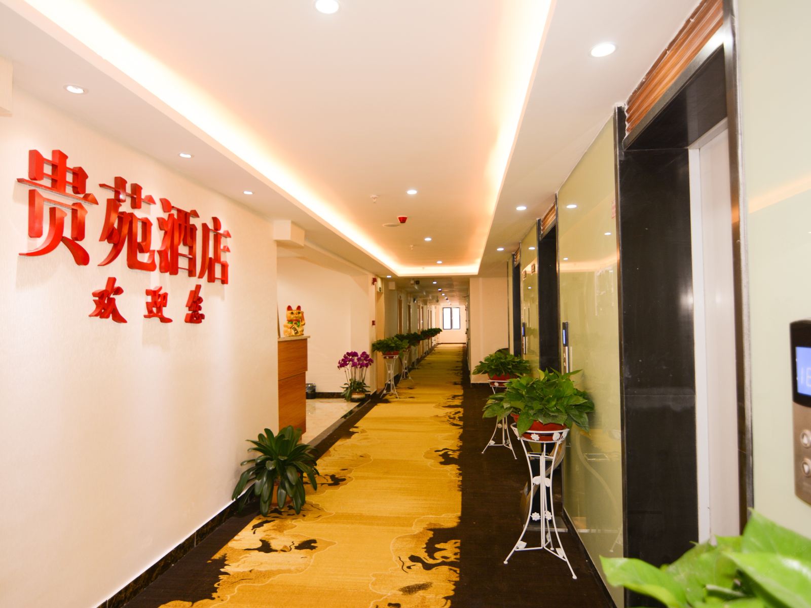 公共区域