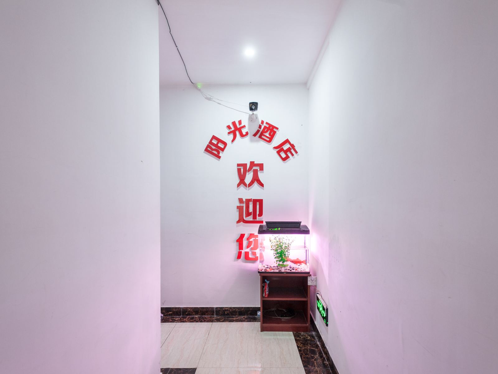 公共区域