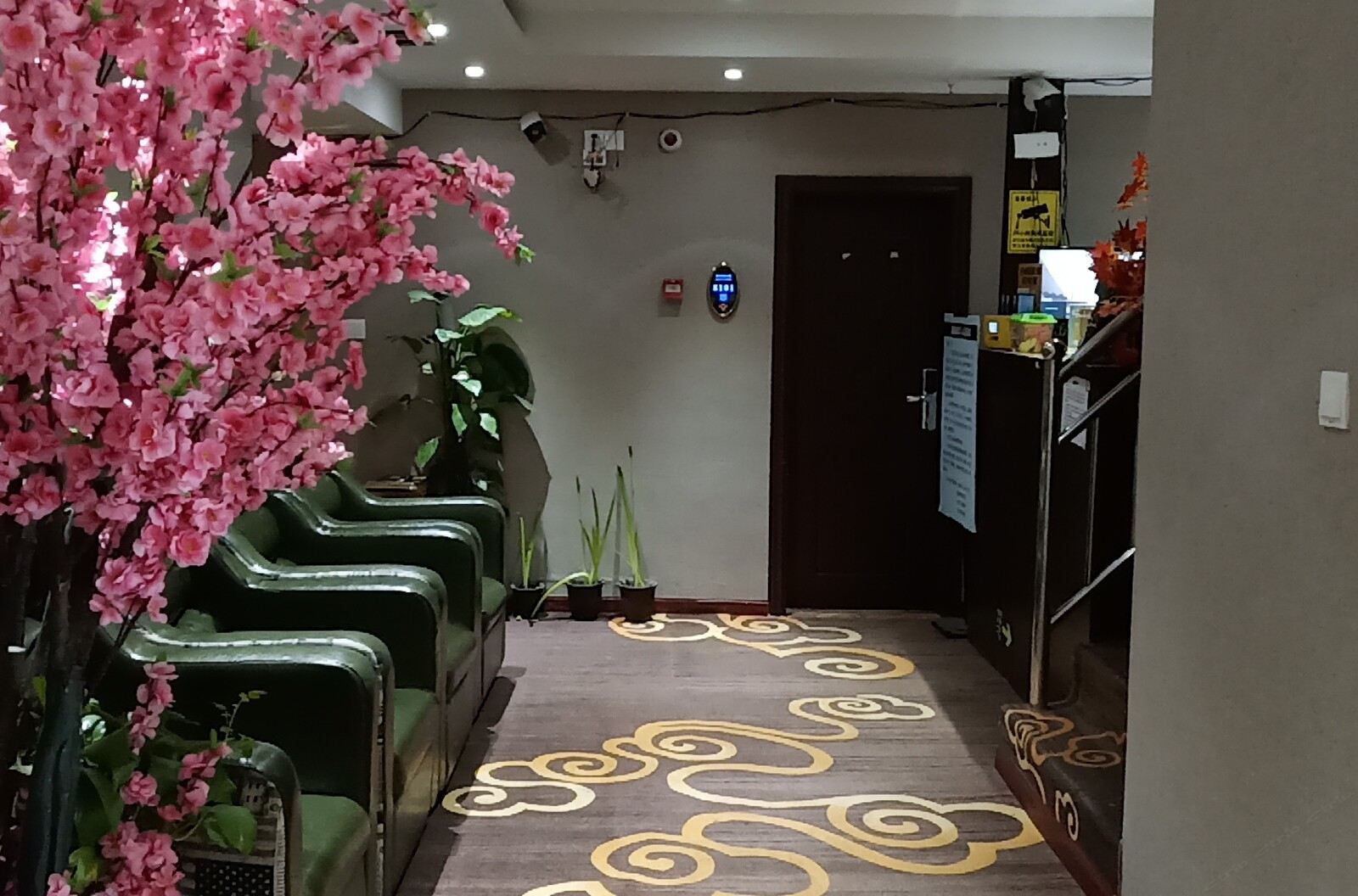 公共区域
