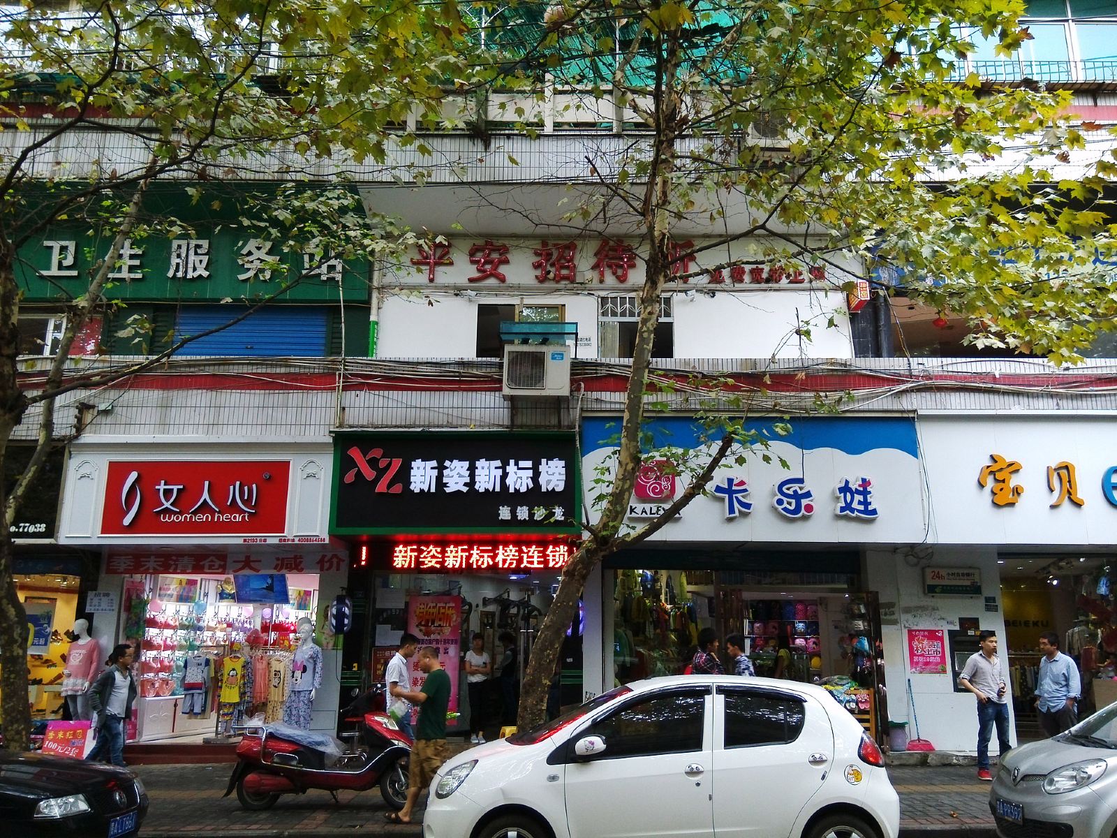 外观