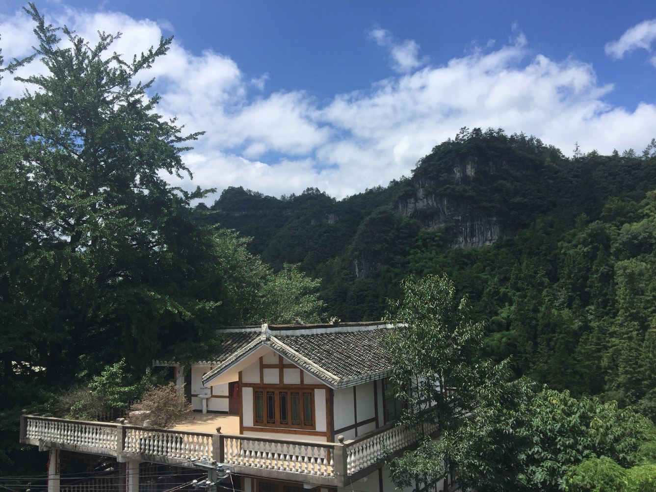 其他
