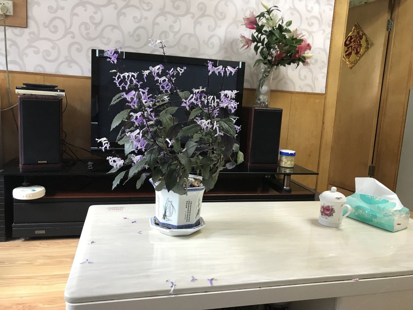 其他