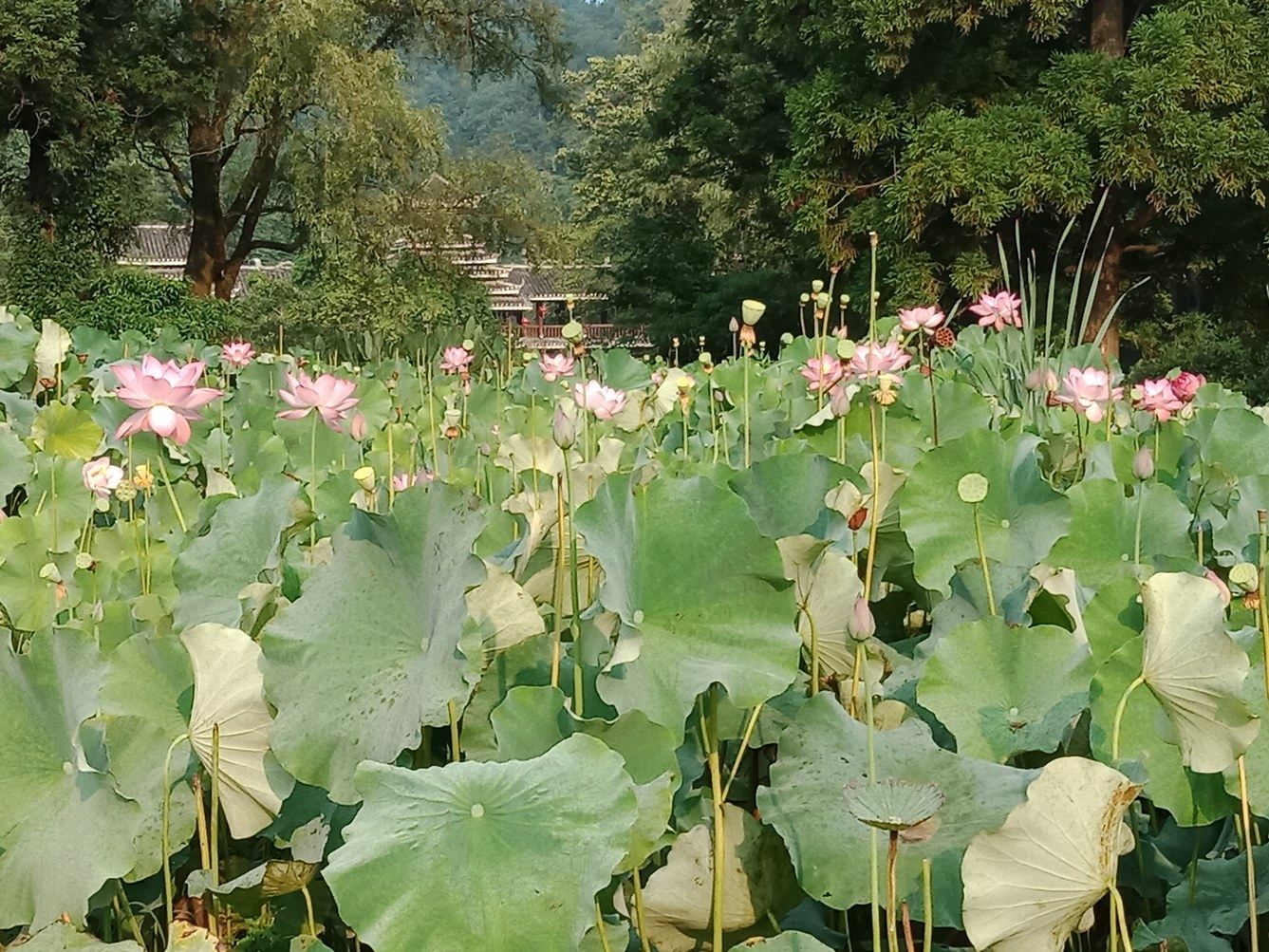 贵阳花邑民宿(2号店)