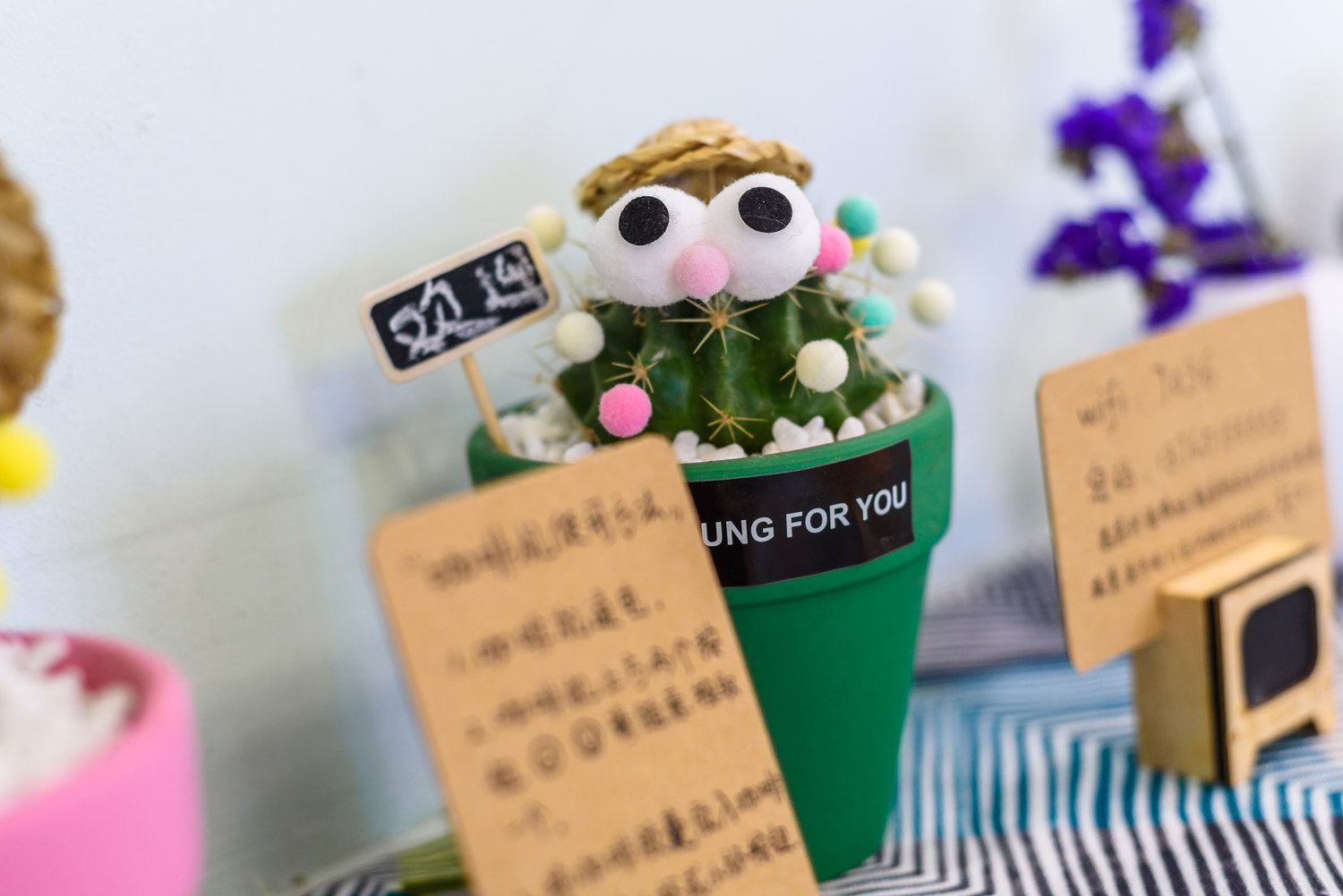 贵阳吧哇的小屋