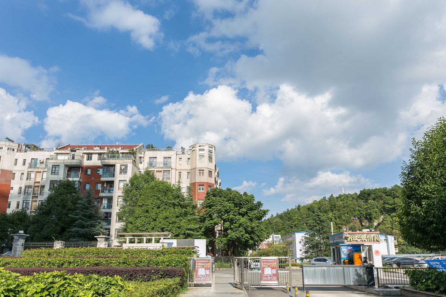 其他