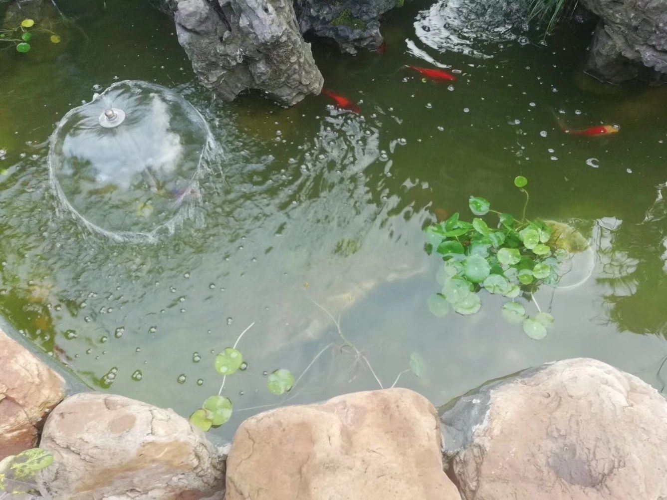 其他