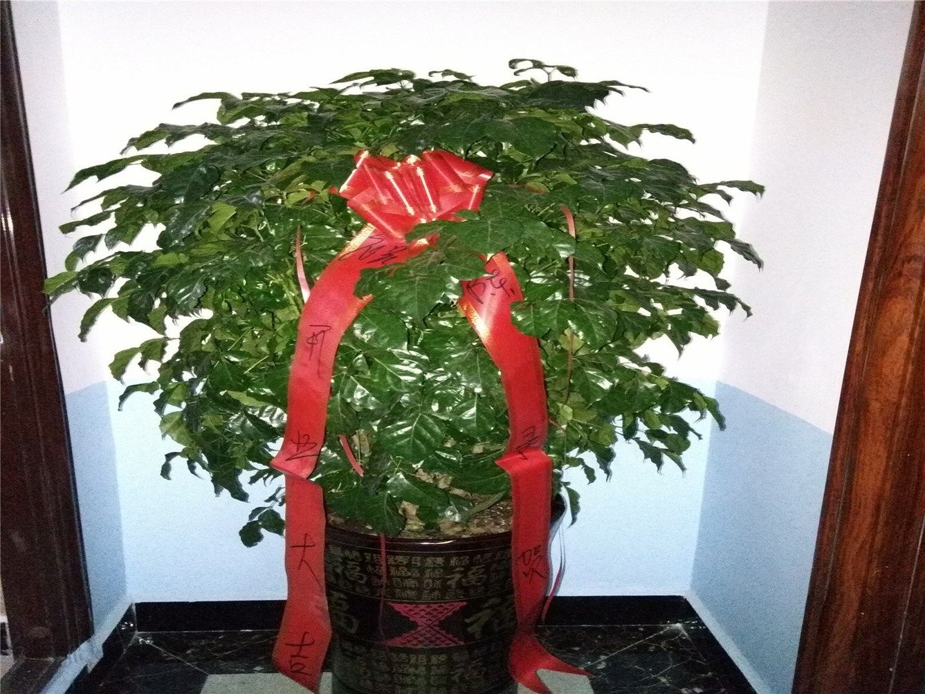 贵阳君归单身公寓