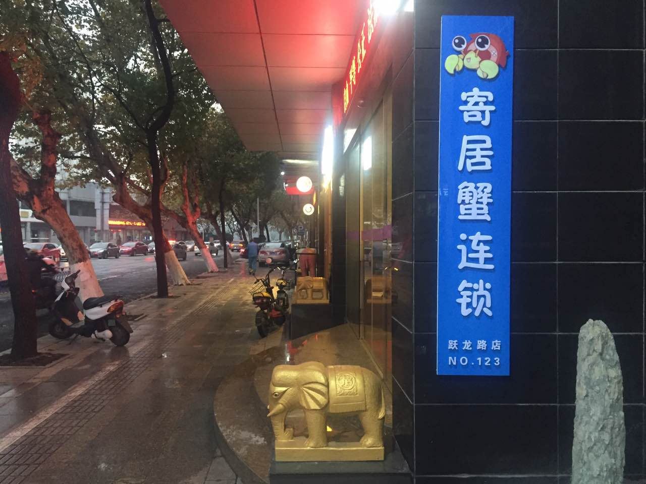外观
