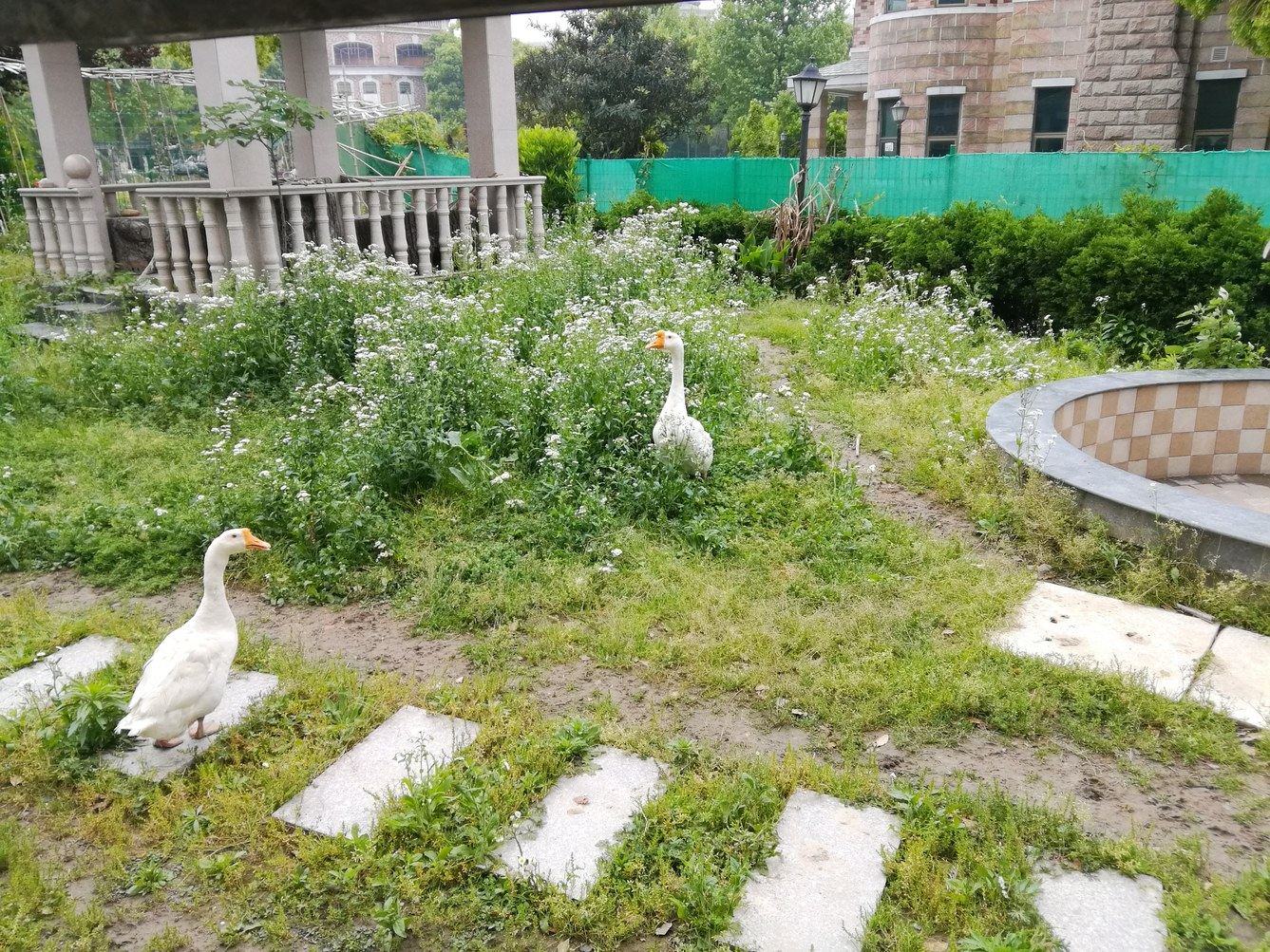 昆山湖畔小城堡度假别墅(石人路分店)