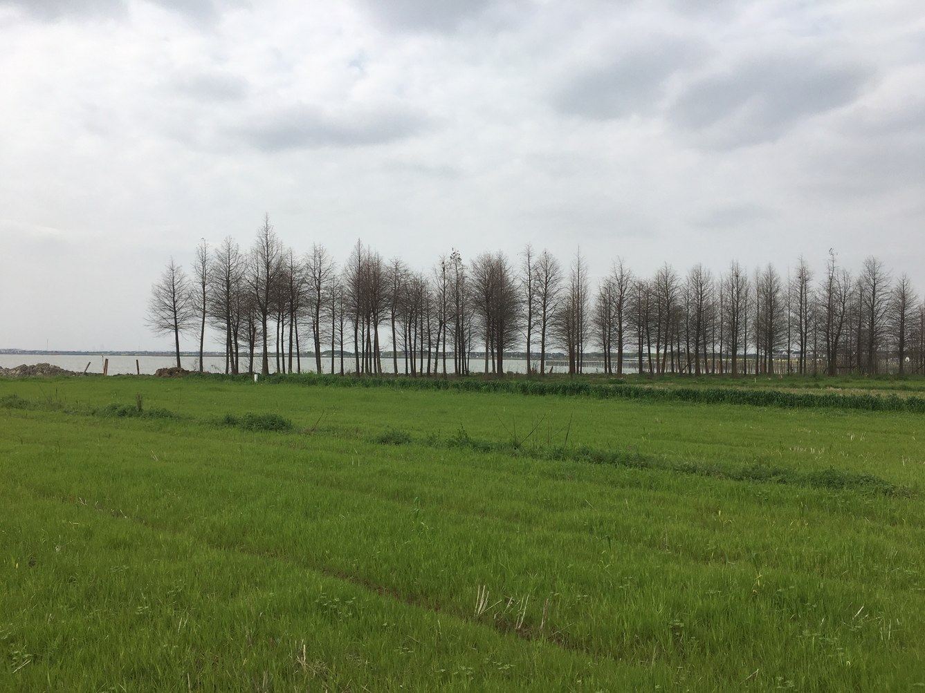 苏州菲儿的天空之城度假别墅(11号店)