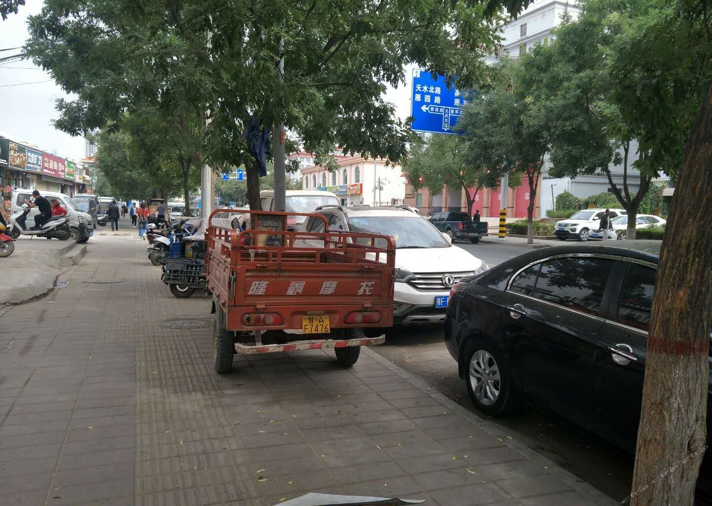 外观