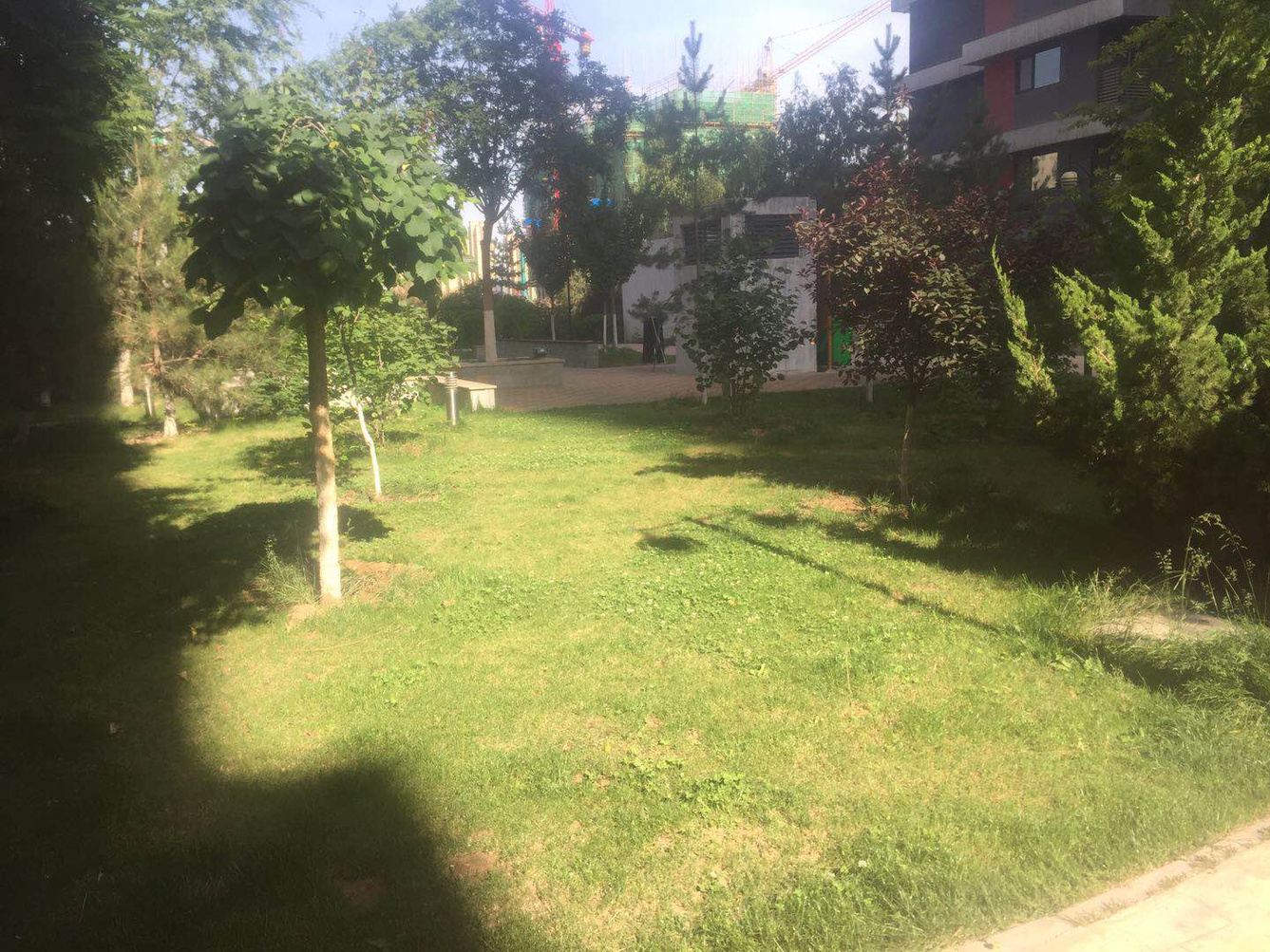 兰州强子的时光公寓(通达街分店)