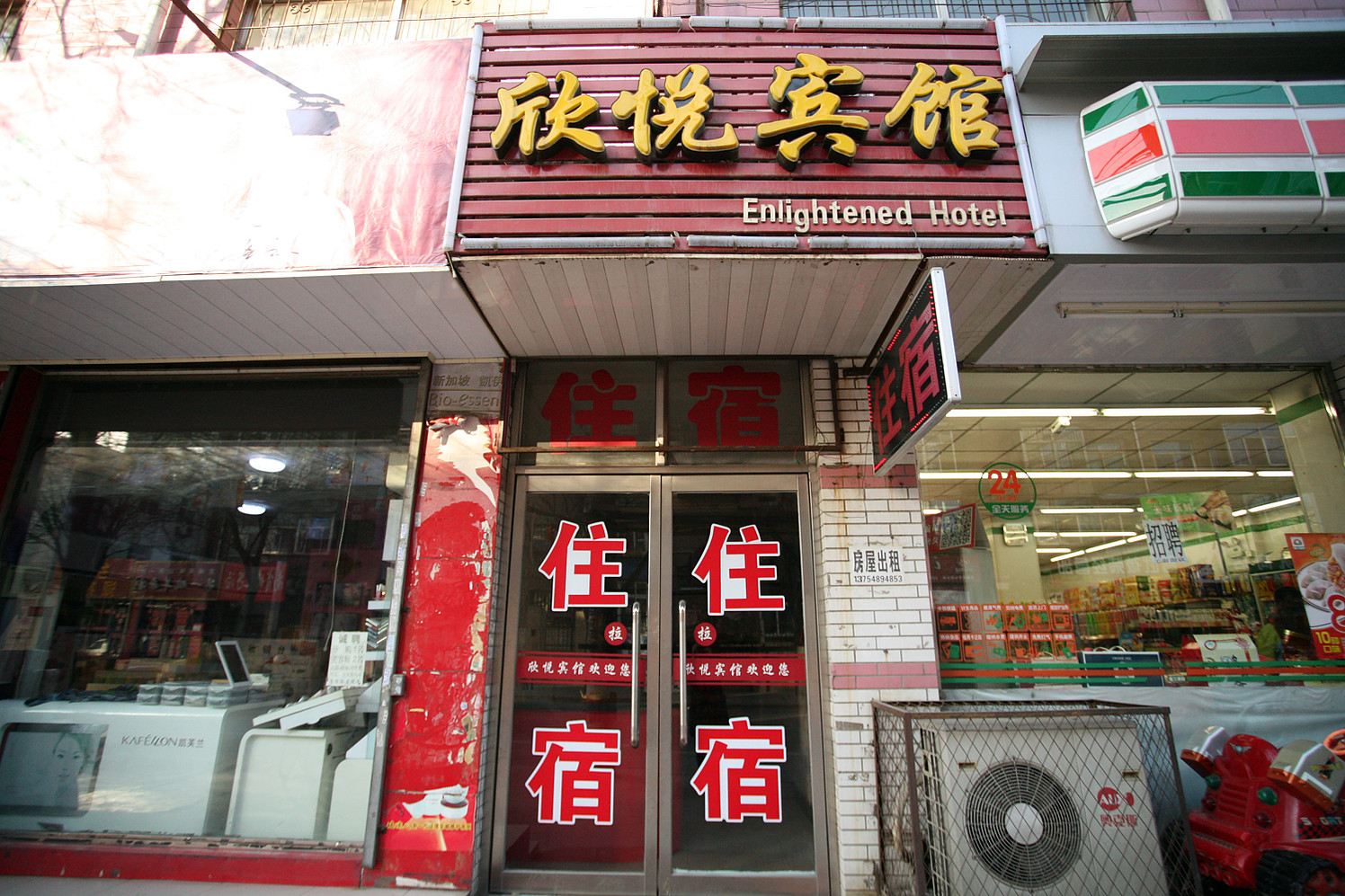 外观