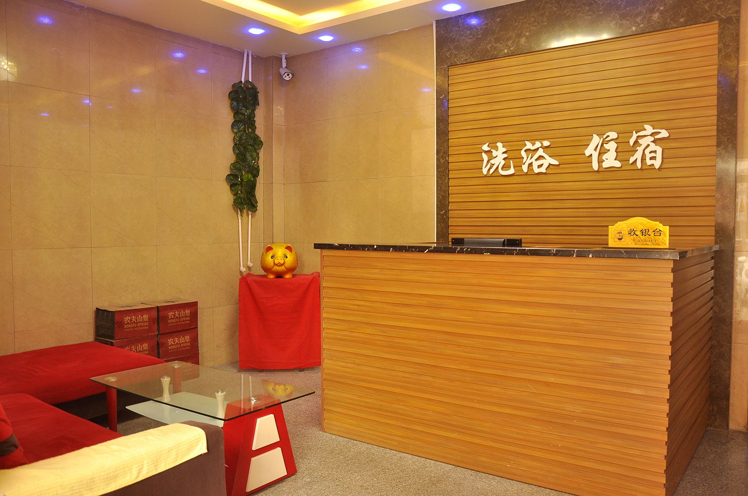 公共区域