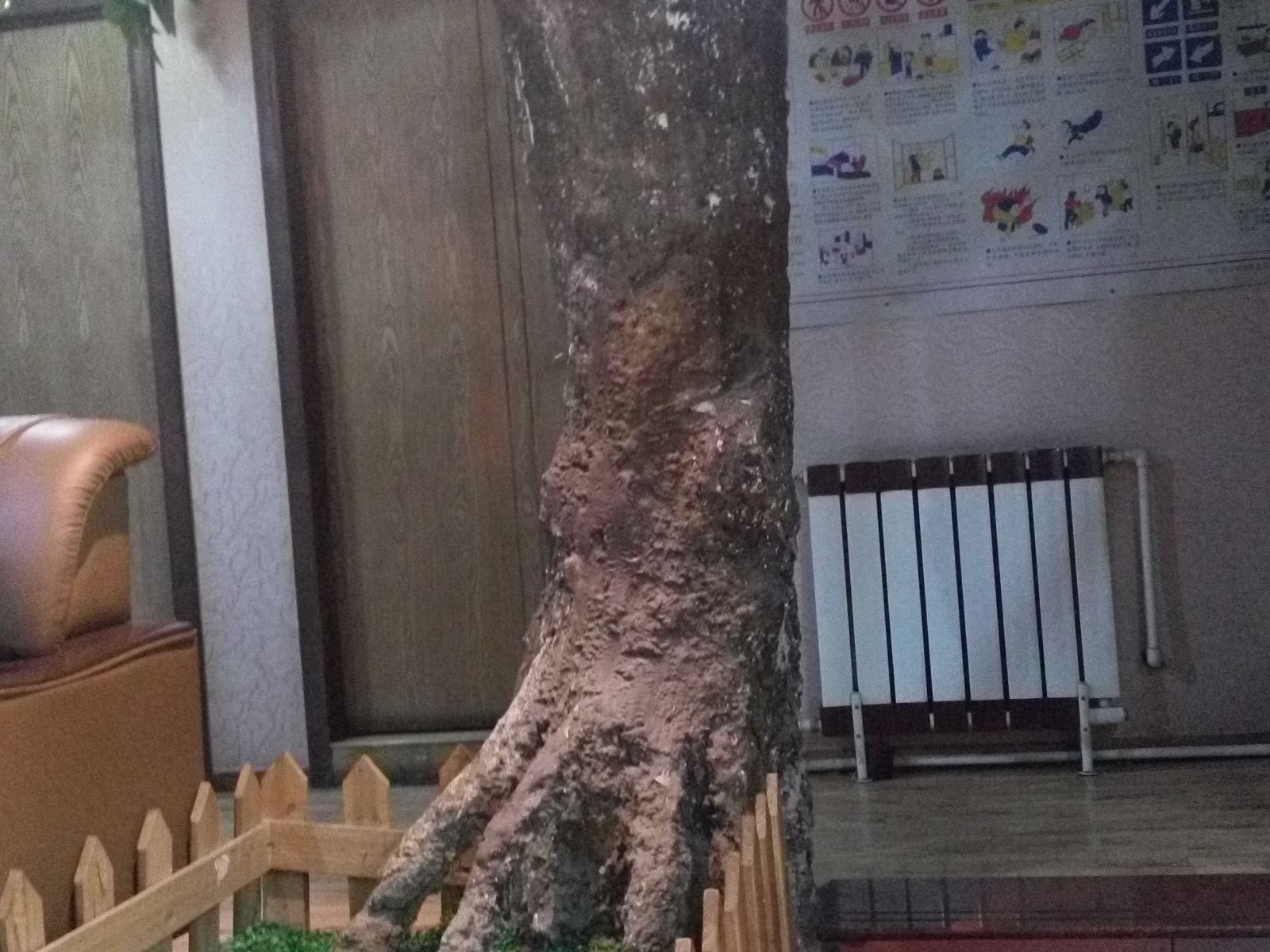 公共区域