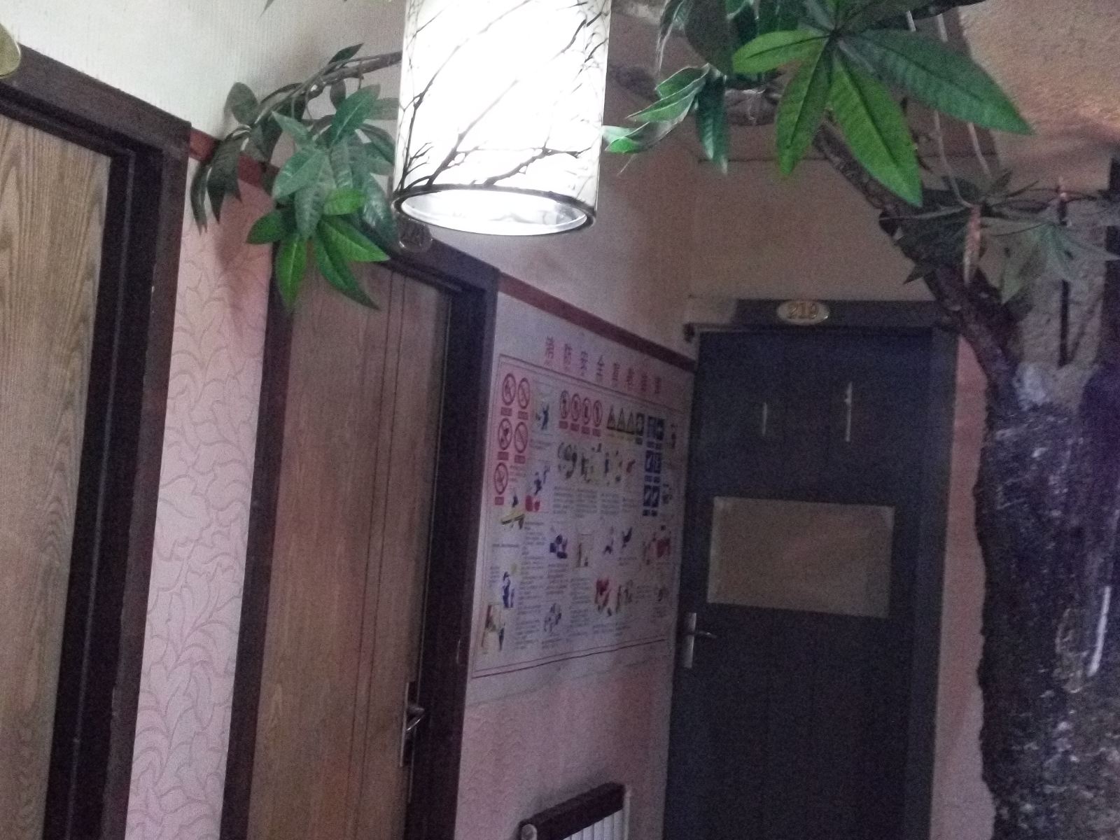 公共区域