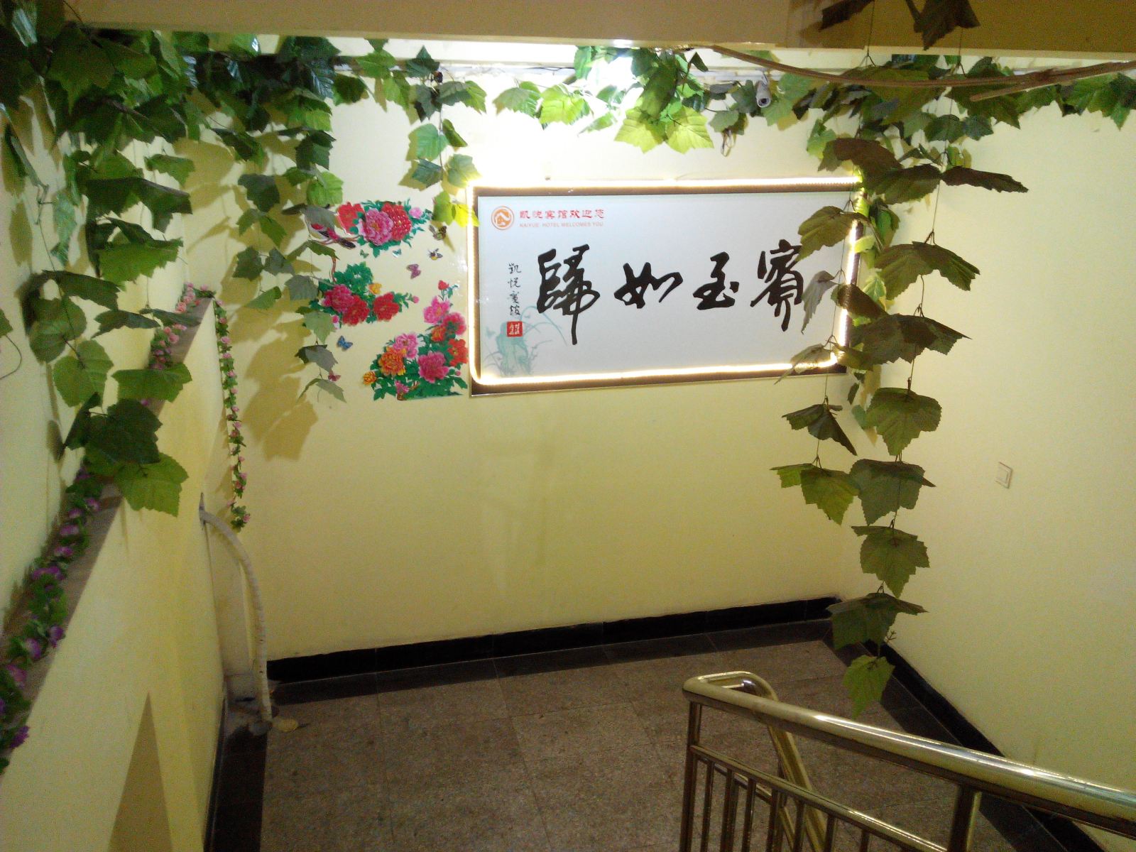公共区域